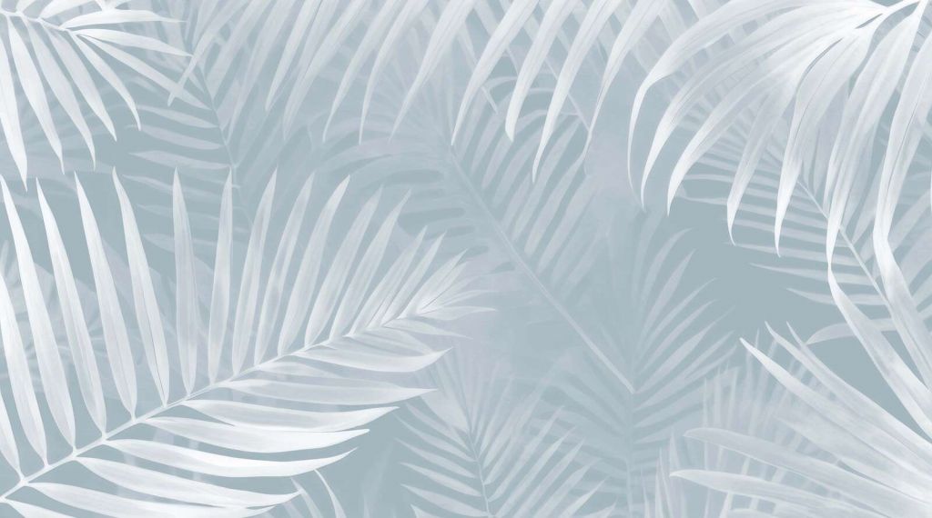 Foggy palm leaves Gray
