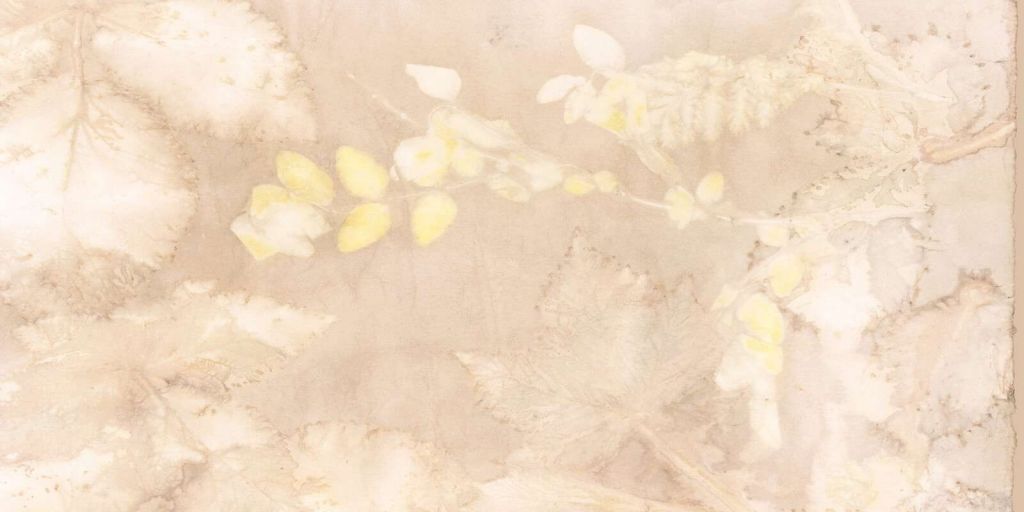 Sneeuwbes en wilde braam - hazelnoot