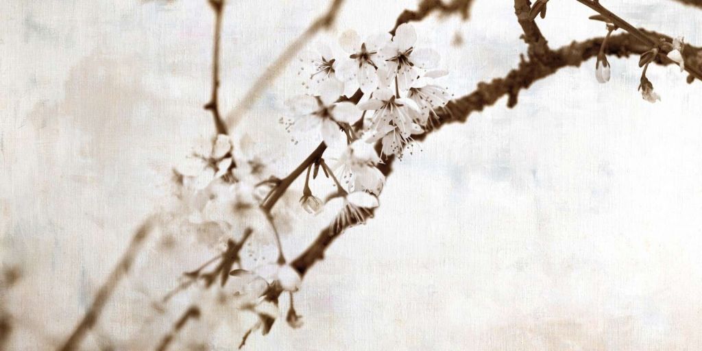 Bloesemtak in zachte stilte