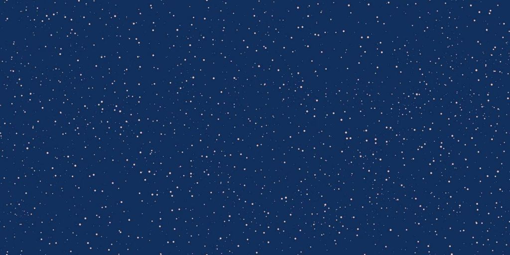 Rustige nacht vol sterren