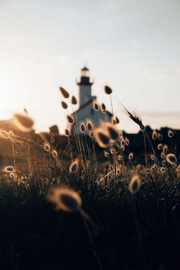 Vuurtoren in zomerse avondgloed