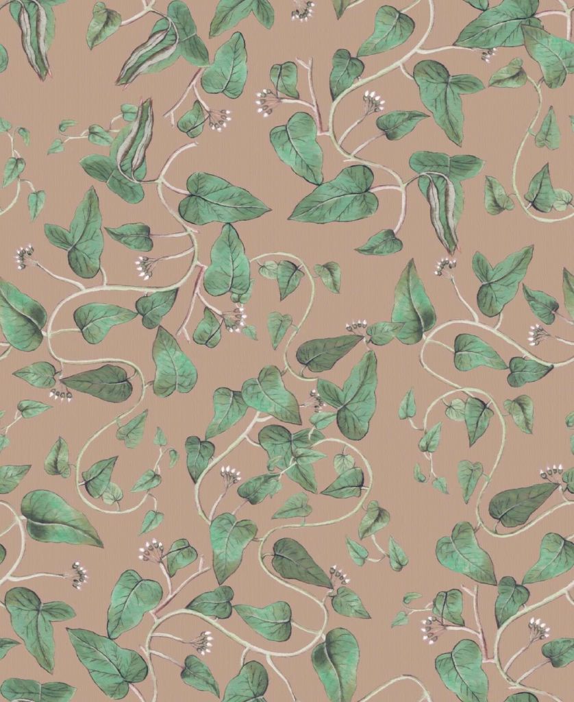 Klimmende bonenranken op zandbruin