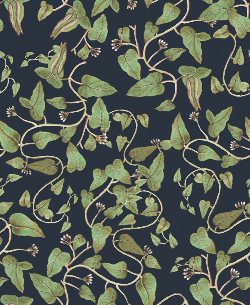 Klimmende bonenranken op nachtblauw