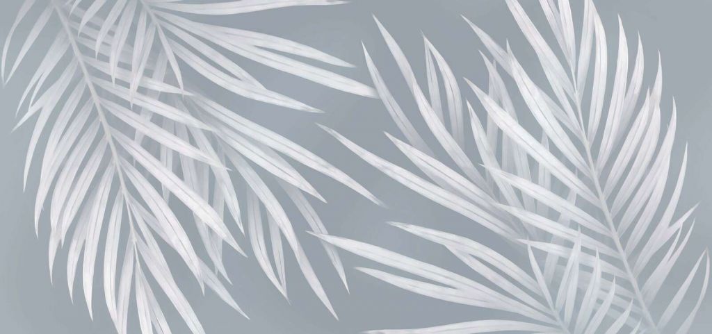 Lichte palmbladeren in blauwgrijs