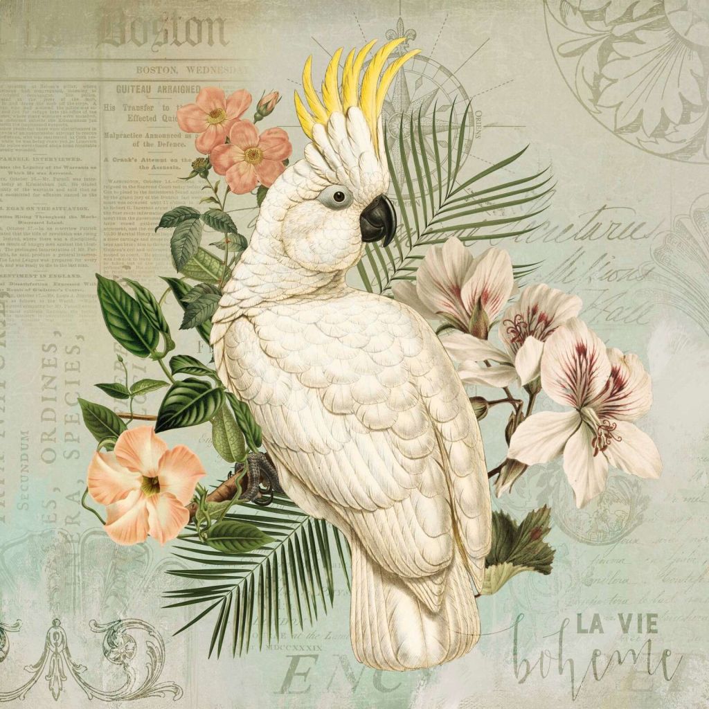 Cockatoo vintage nostalgia