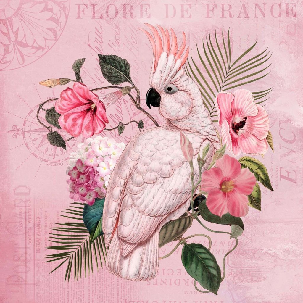 Cockatoo vintage nostalgia pink
