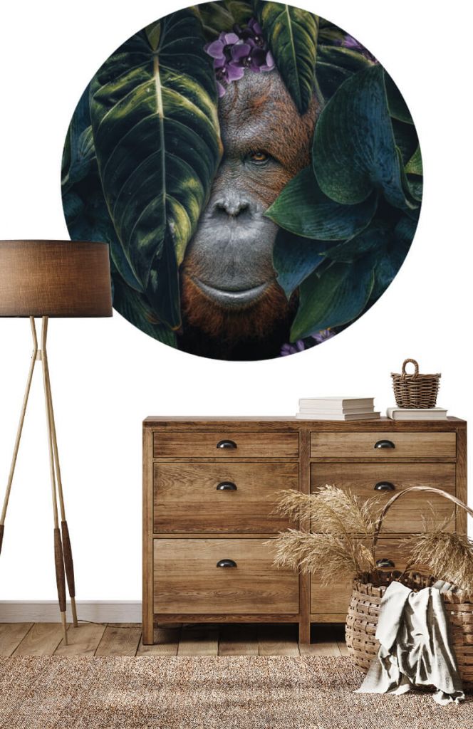 Behangcirkel Jungle orangutan