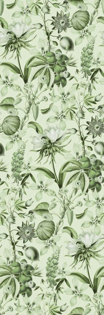 Tropical bloom serenade exotic florals green