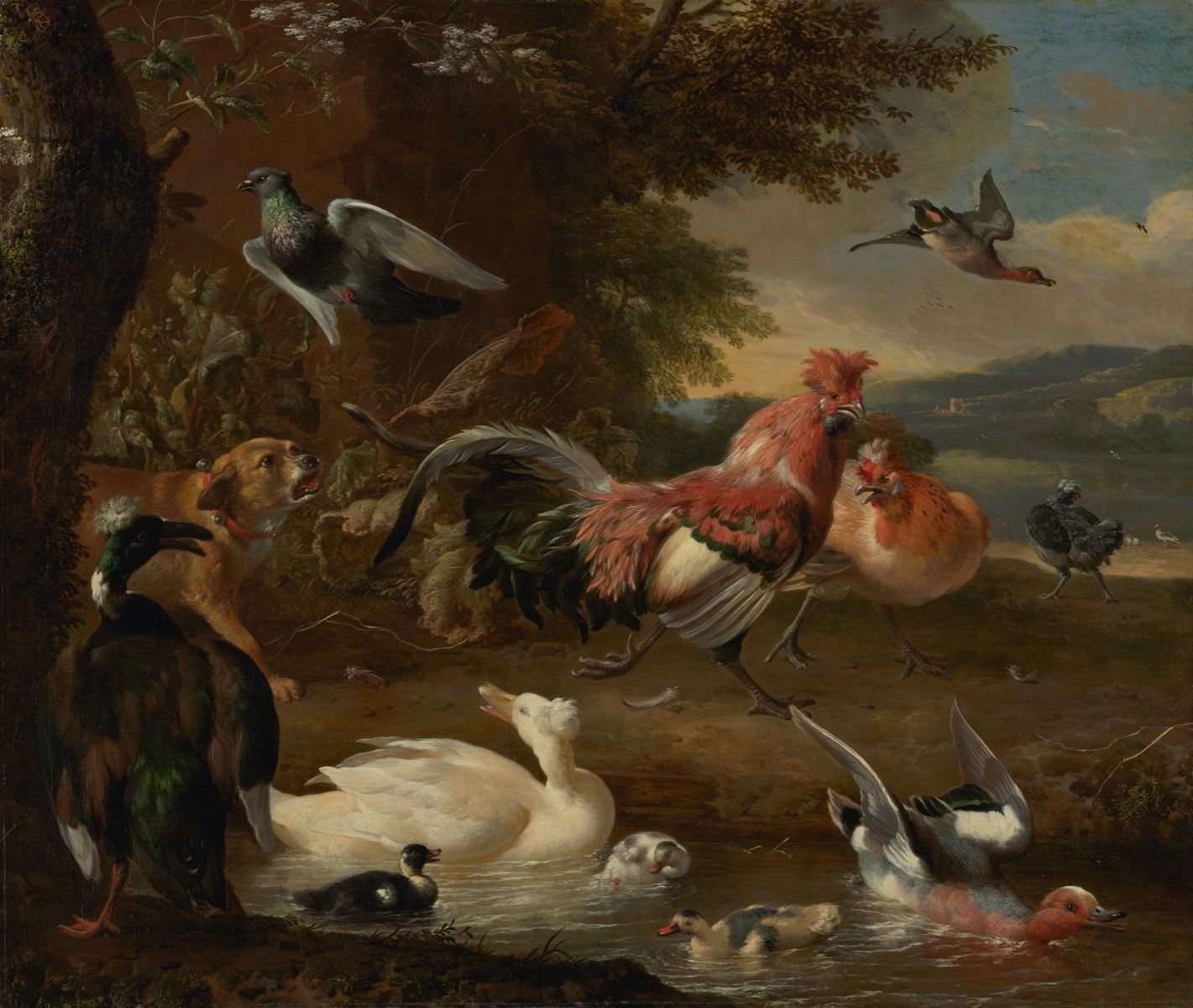 Rijksmuseum - Kippen en eenden - Keuken