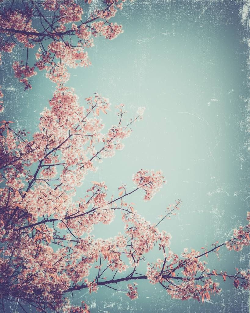 Bloesem - Vintage Japanse bloemen - Tienerkamer