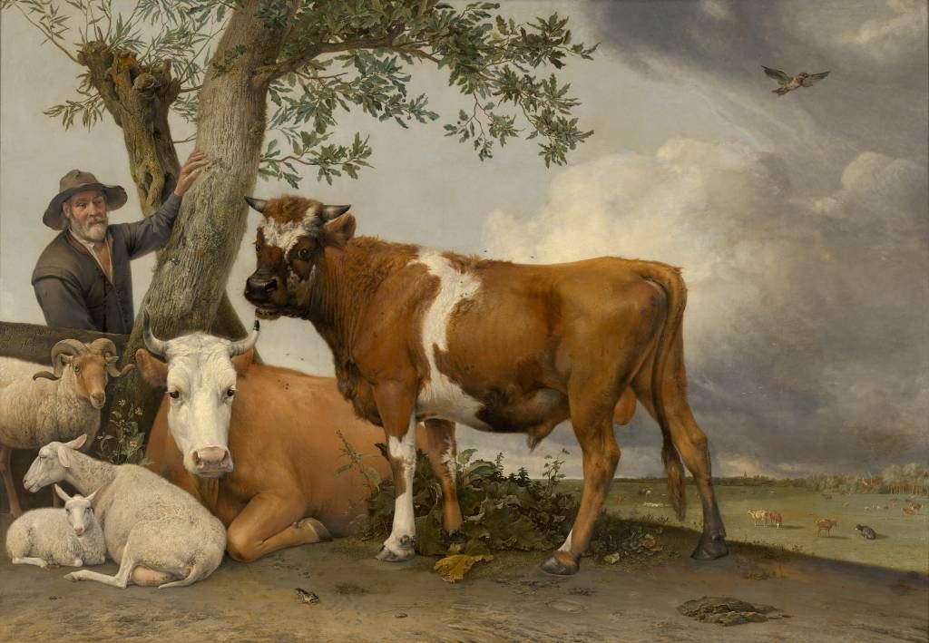 Koeien - De stier - Keuken