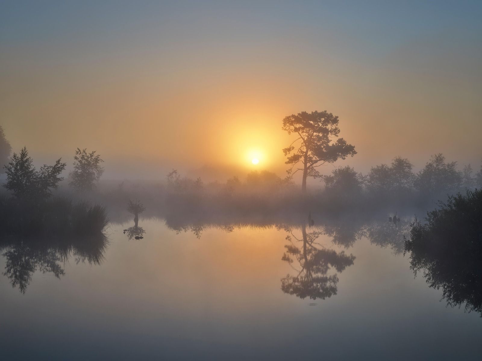Natuur - Mistige zonsopkomst Natuur - Mistige zonsopkomst