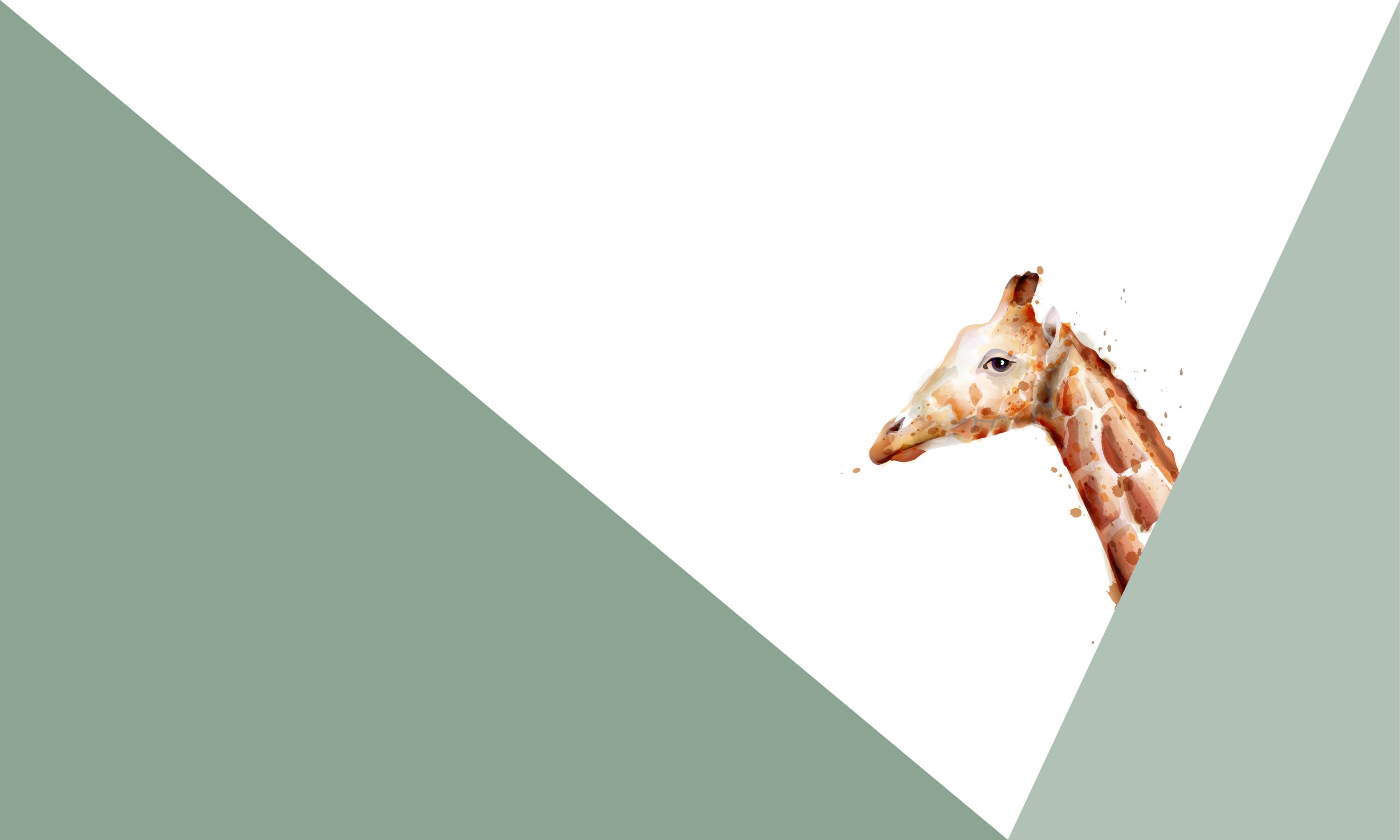 Hip & Trendy Groene driehoeken met giraffe Hip & Trendy Groene driehoeken met giraffe