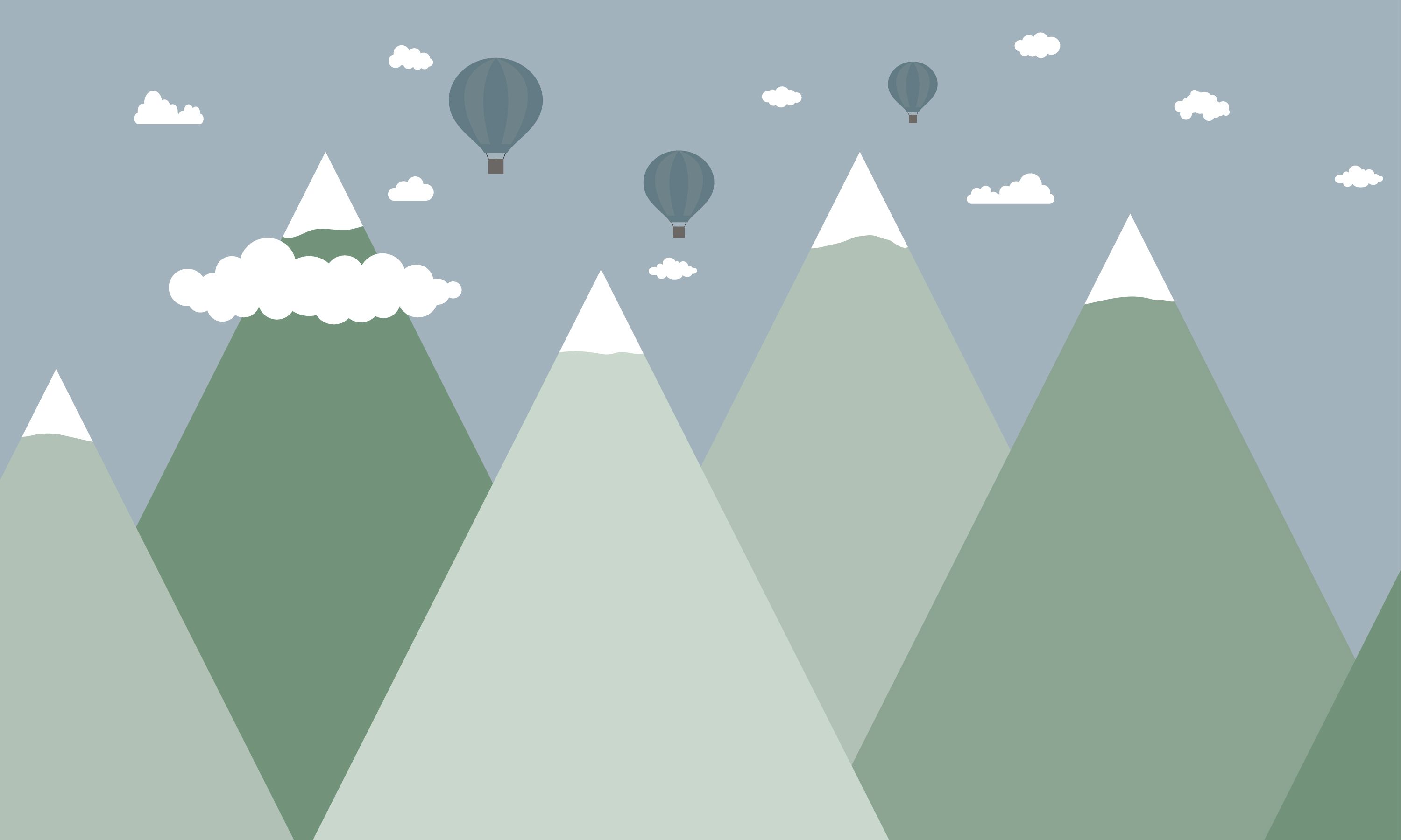 Hip & Trendy Berglandschap met luchtballonnen