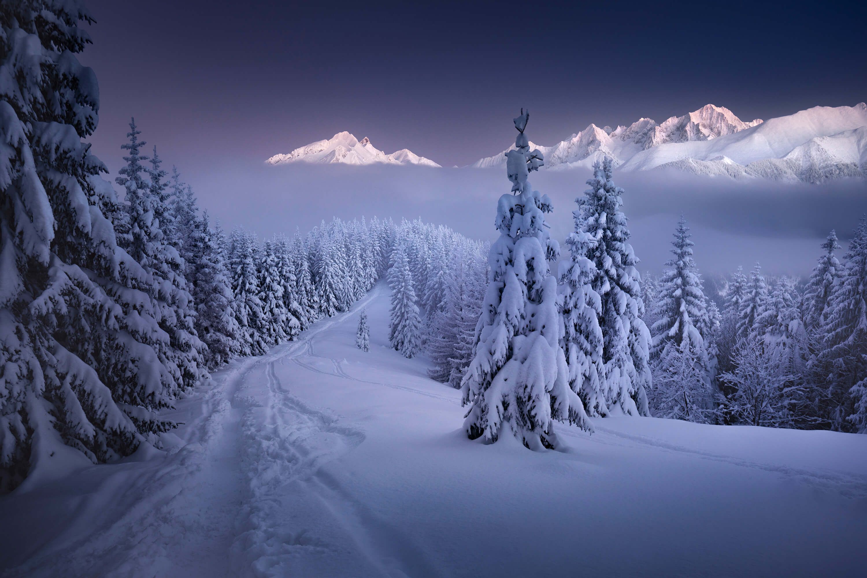In the Winter In the Winter