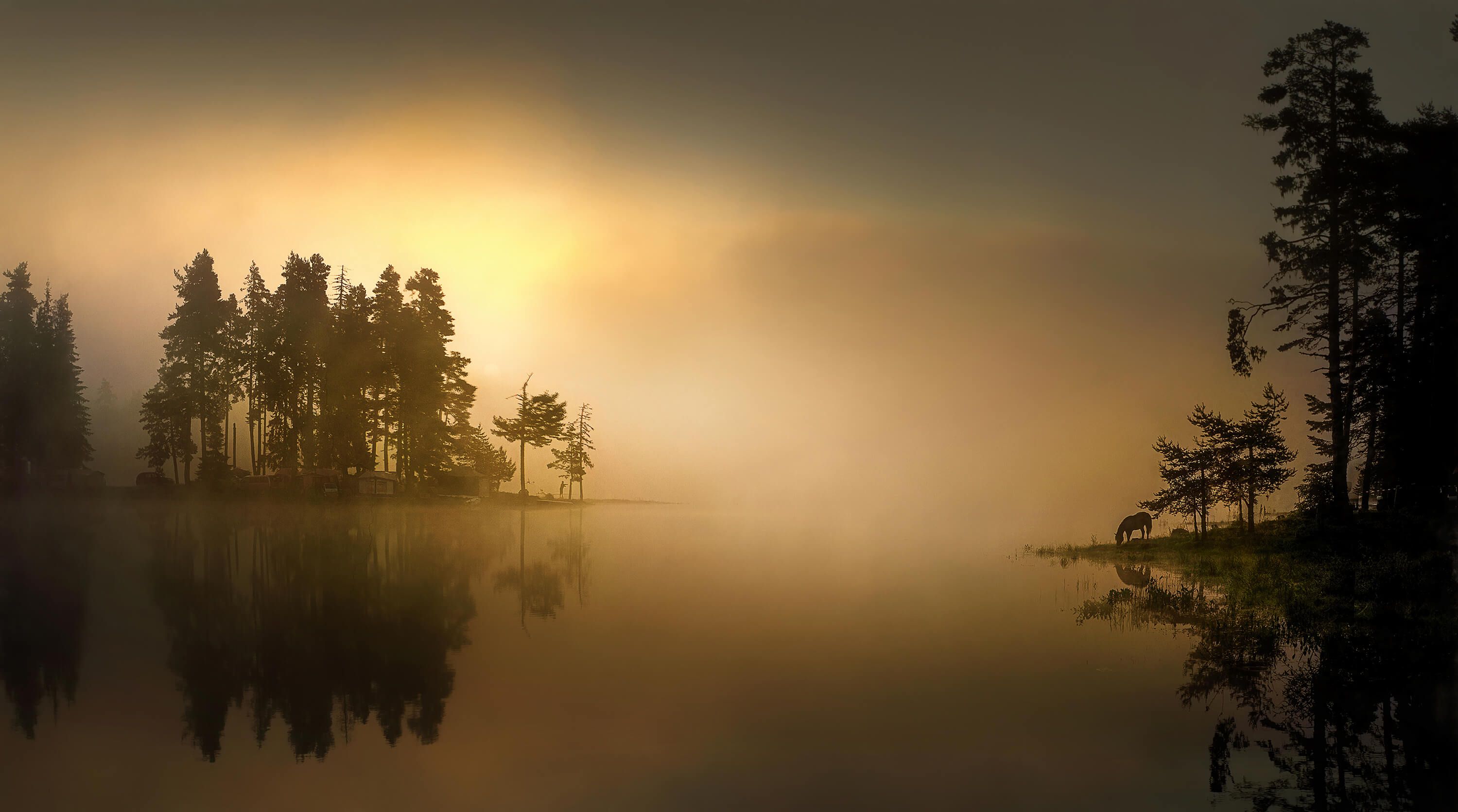 Island in the fog Island in the fog