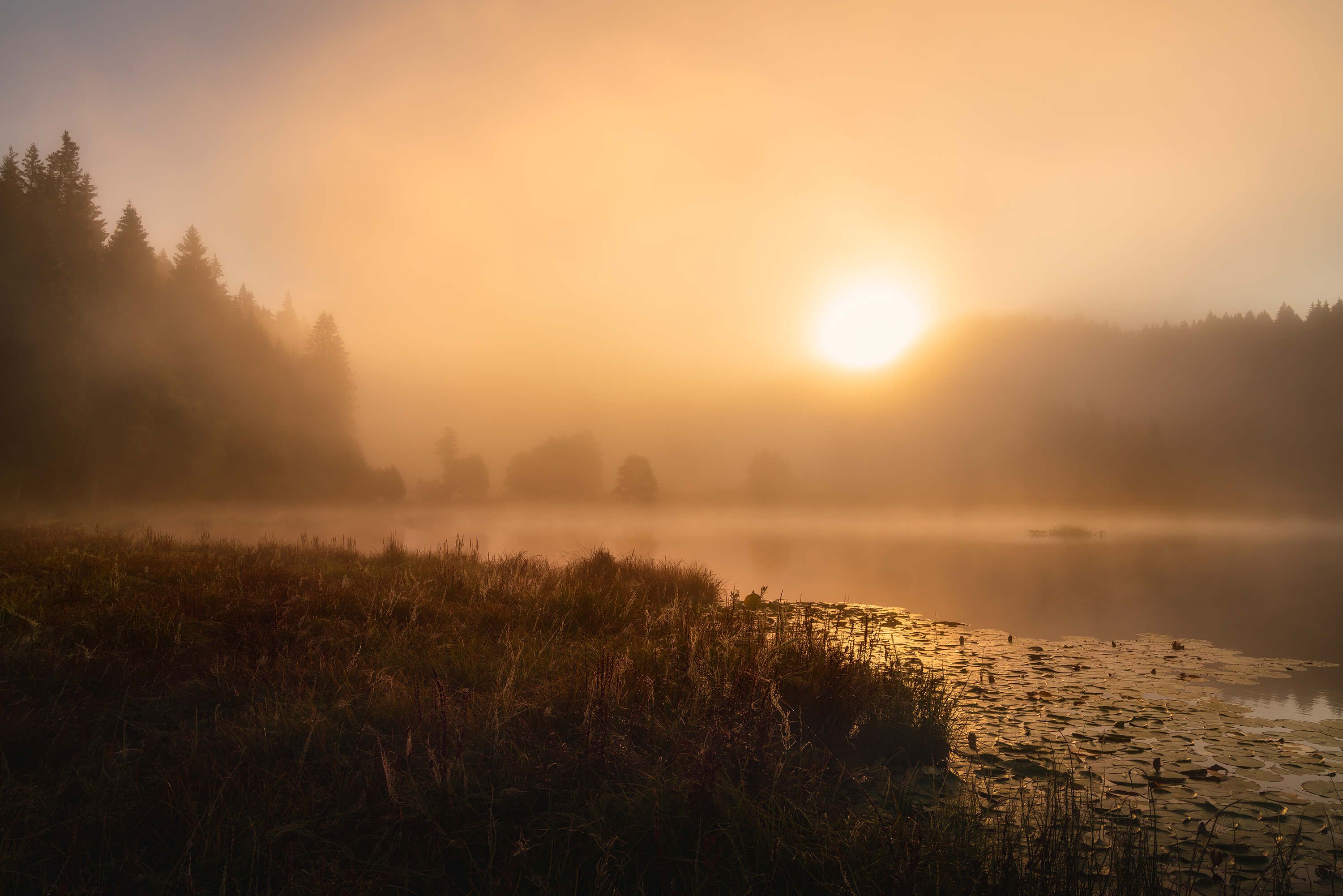 The incredible light of an October morning The incredible light of an October morning