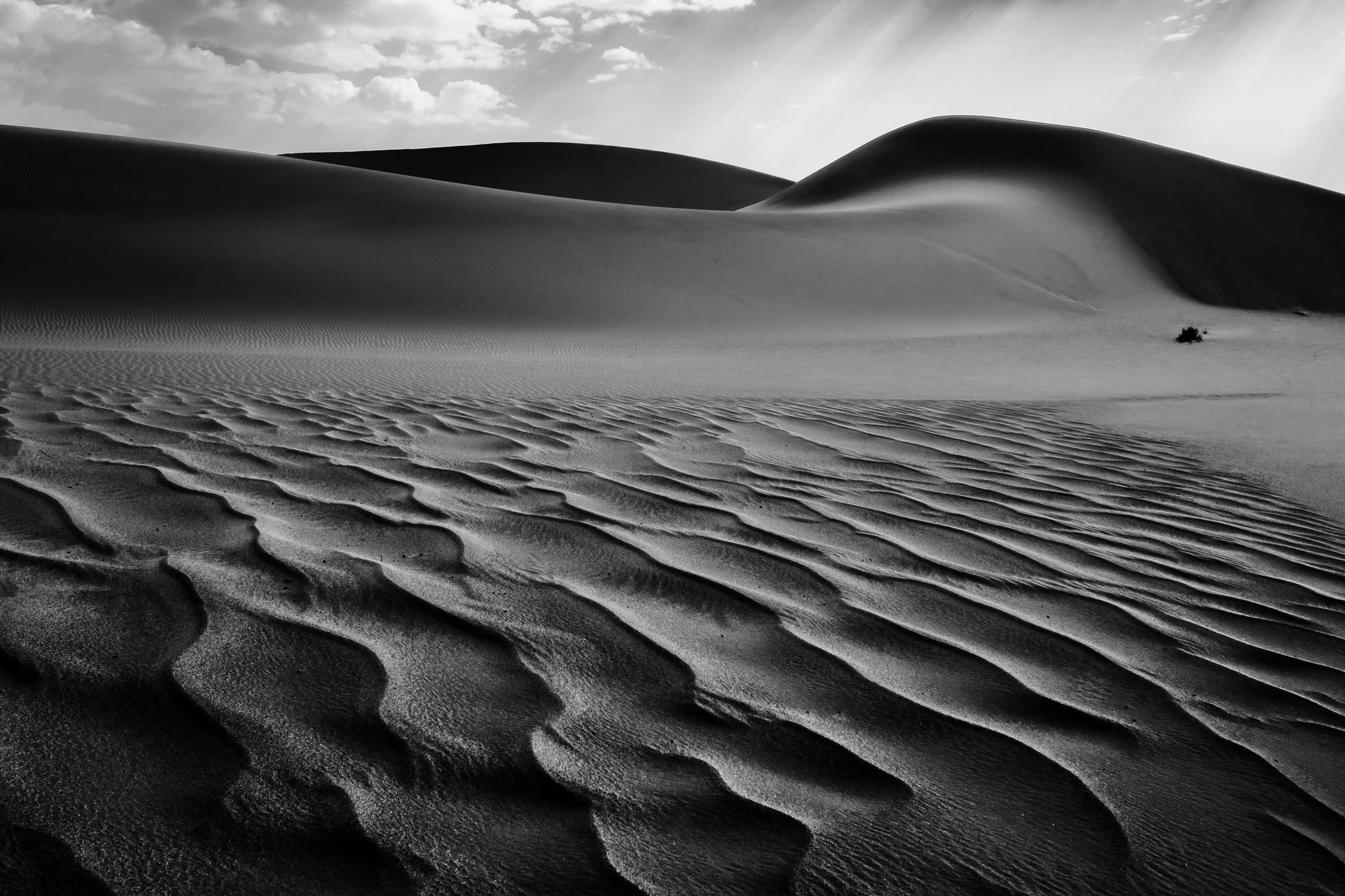 The Living Dunes, Namibia I The Living Dunes, Namibia I