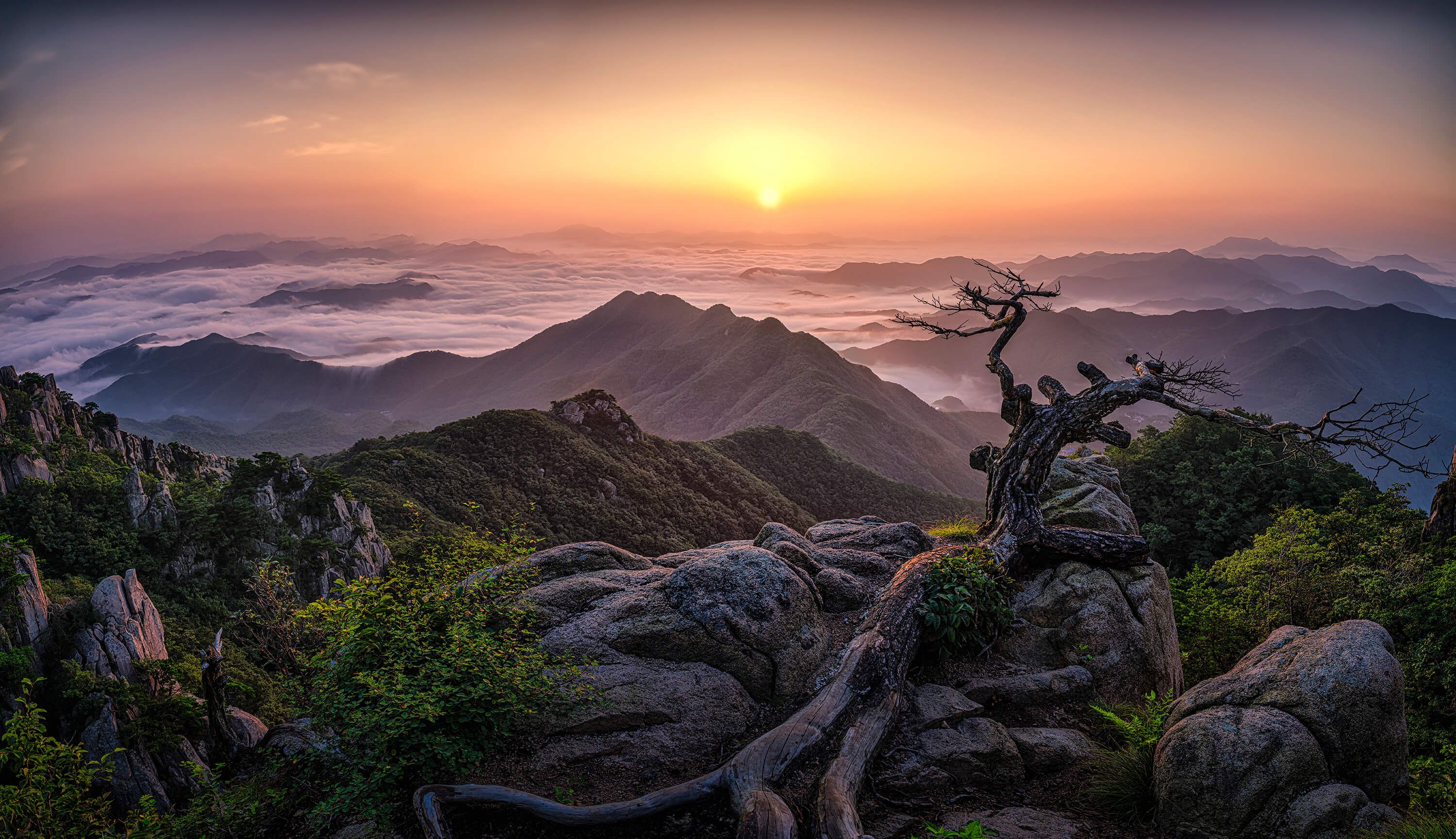 Sunrise on Top Sunrise on Top