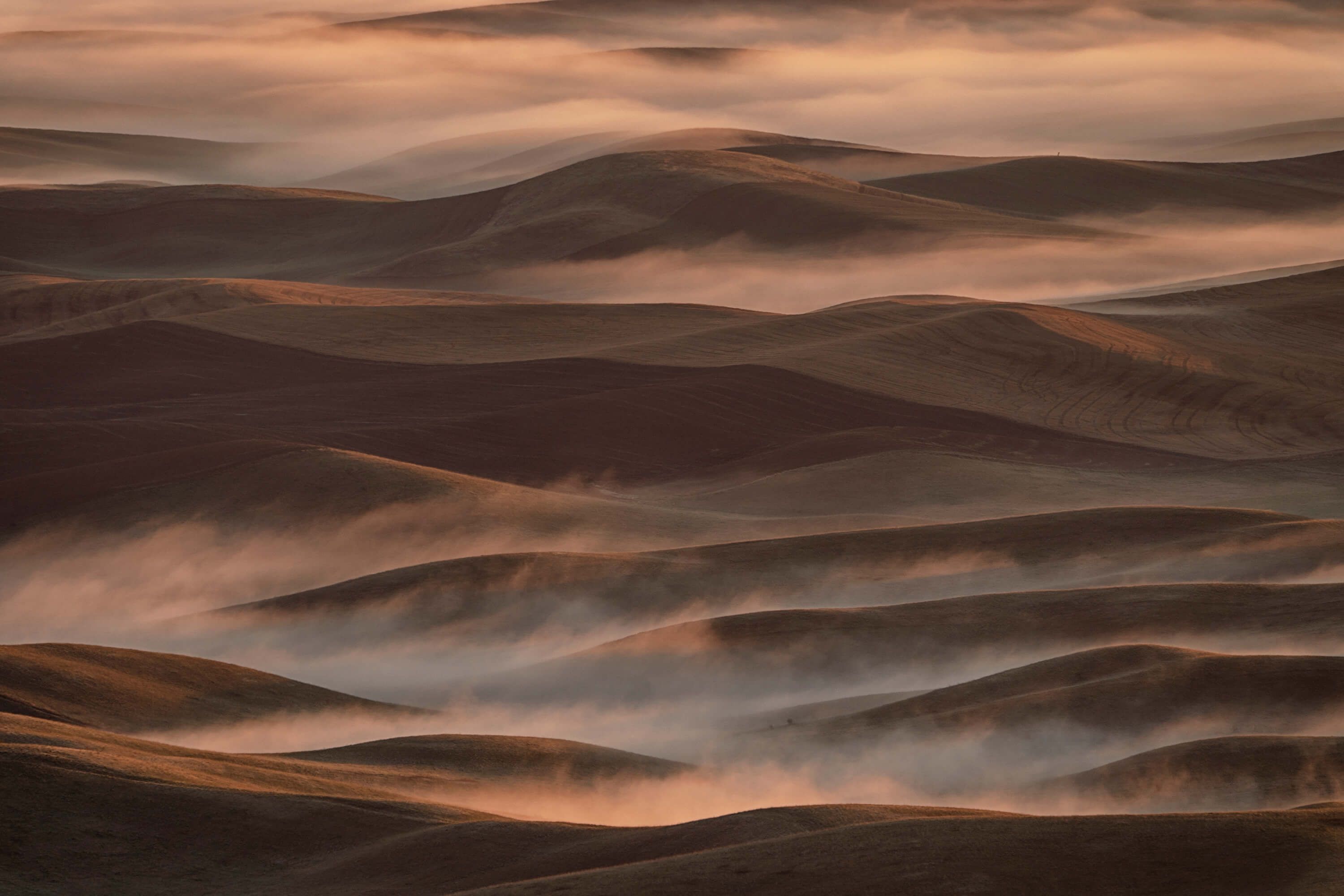 Early Spring Morning at Palouse Early Spring Morning at Palouse