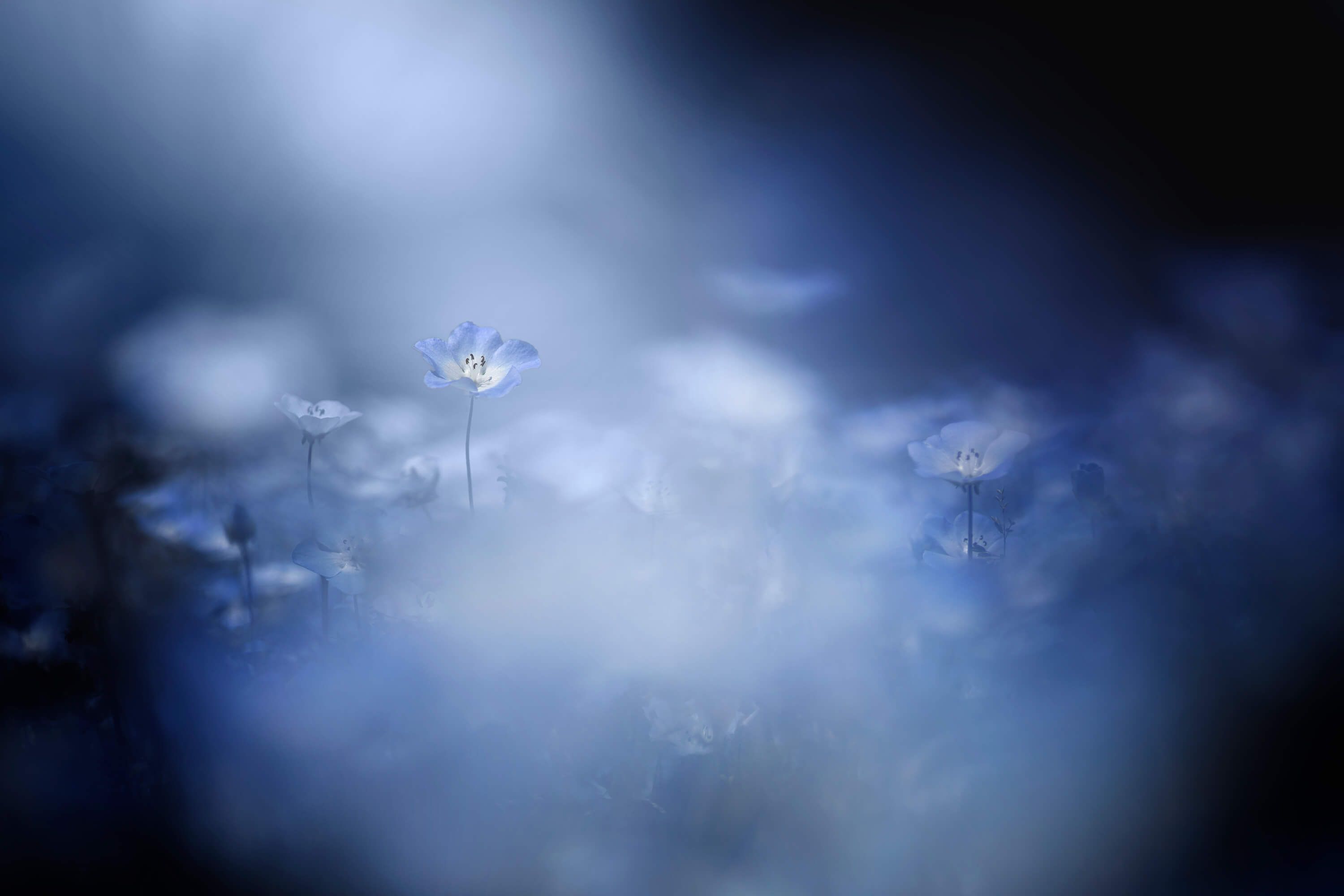 Gentle light Gentle light