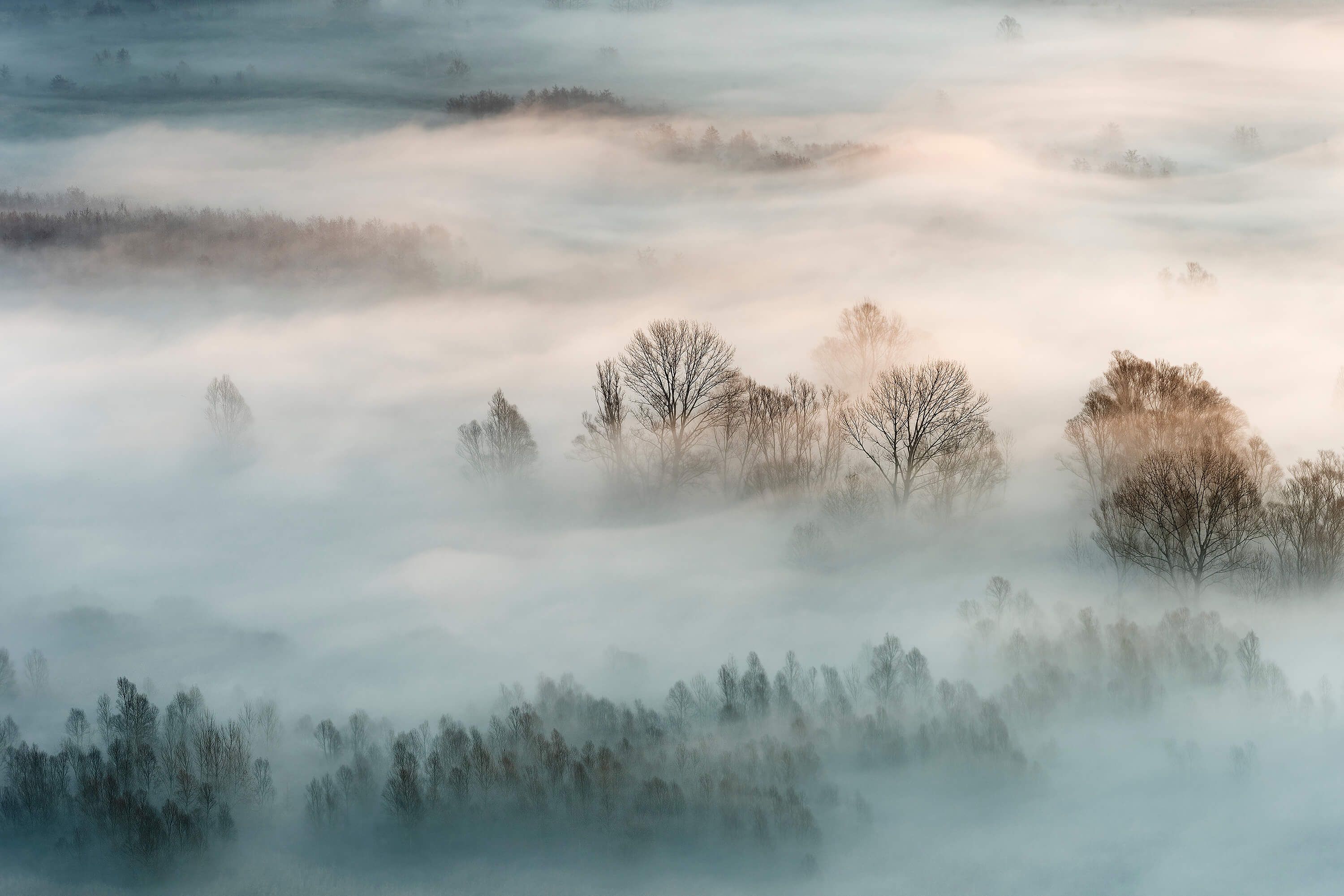 Winter fog Winter fog