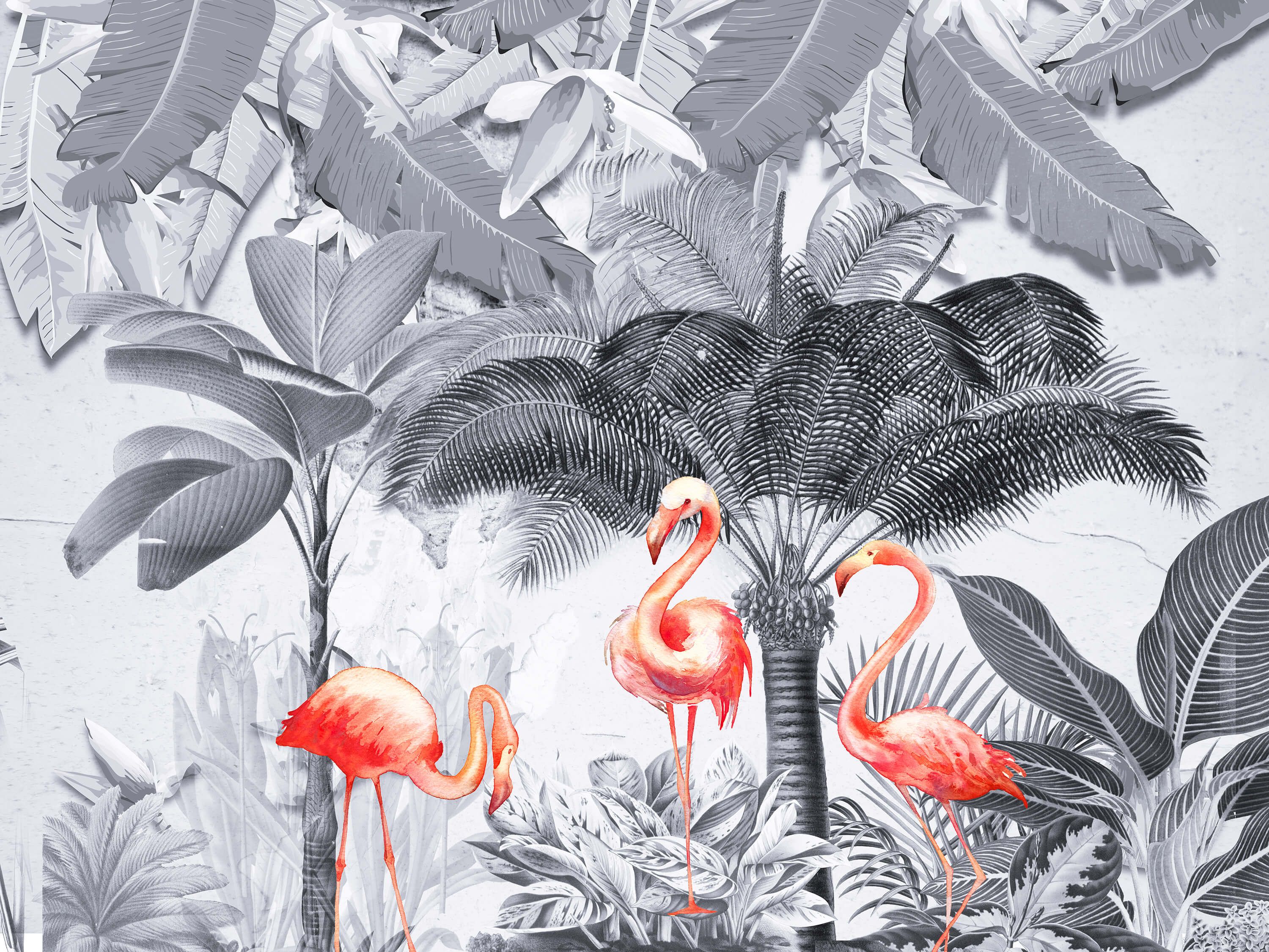 wallpaper Jungle met flamingo's