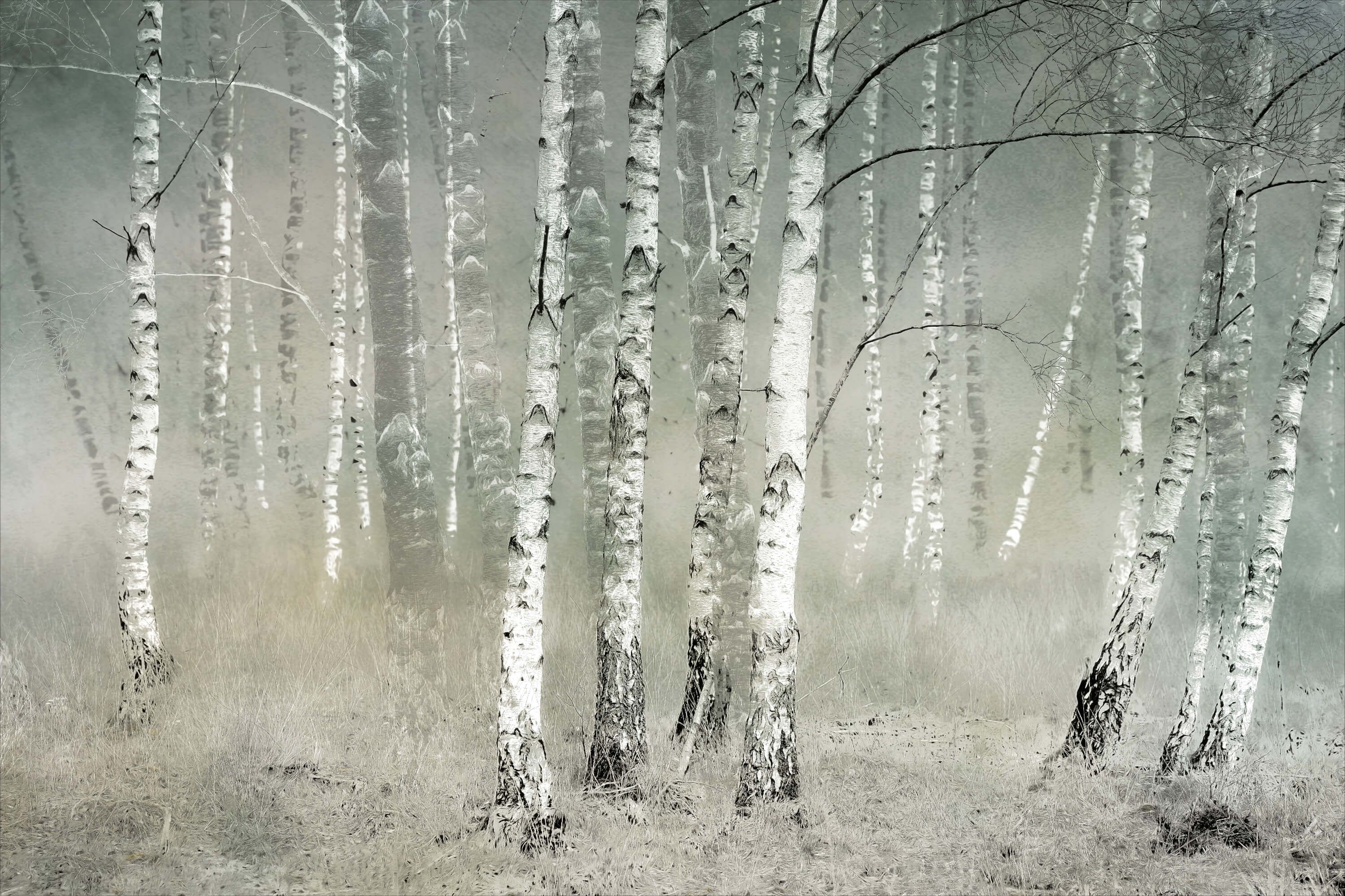 wallpaper Morning silence wallpaper Morning silence