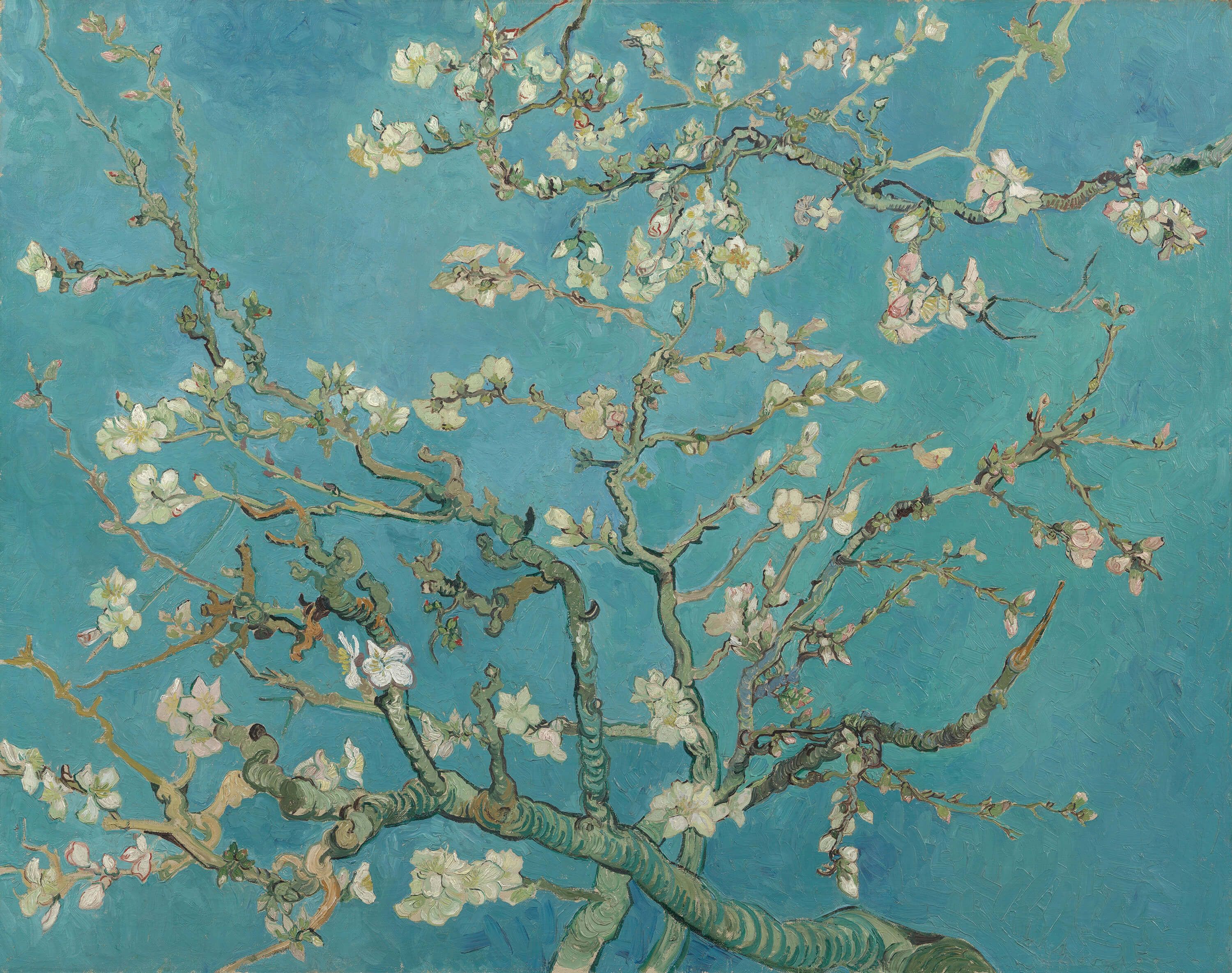 Rijksmuseum - Geschilderde Amandelbloesem (Van Gogh)