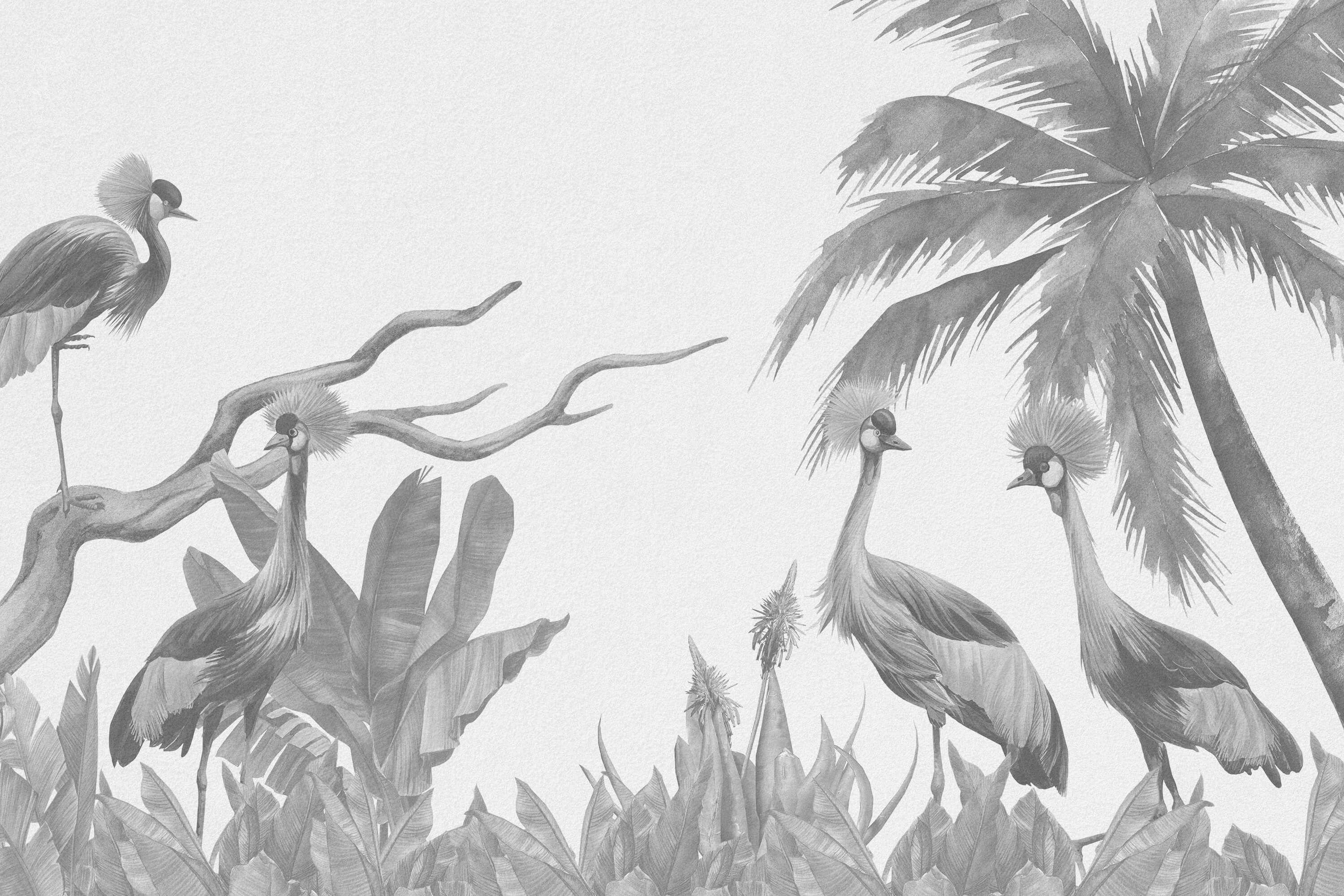Jungle behang Jungle met kraanvogels in grijstinten Jungle behang Jungle met kraanvogels in grijstinten
