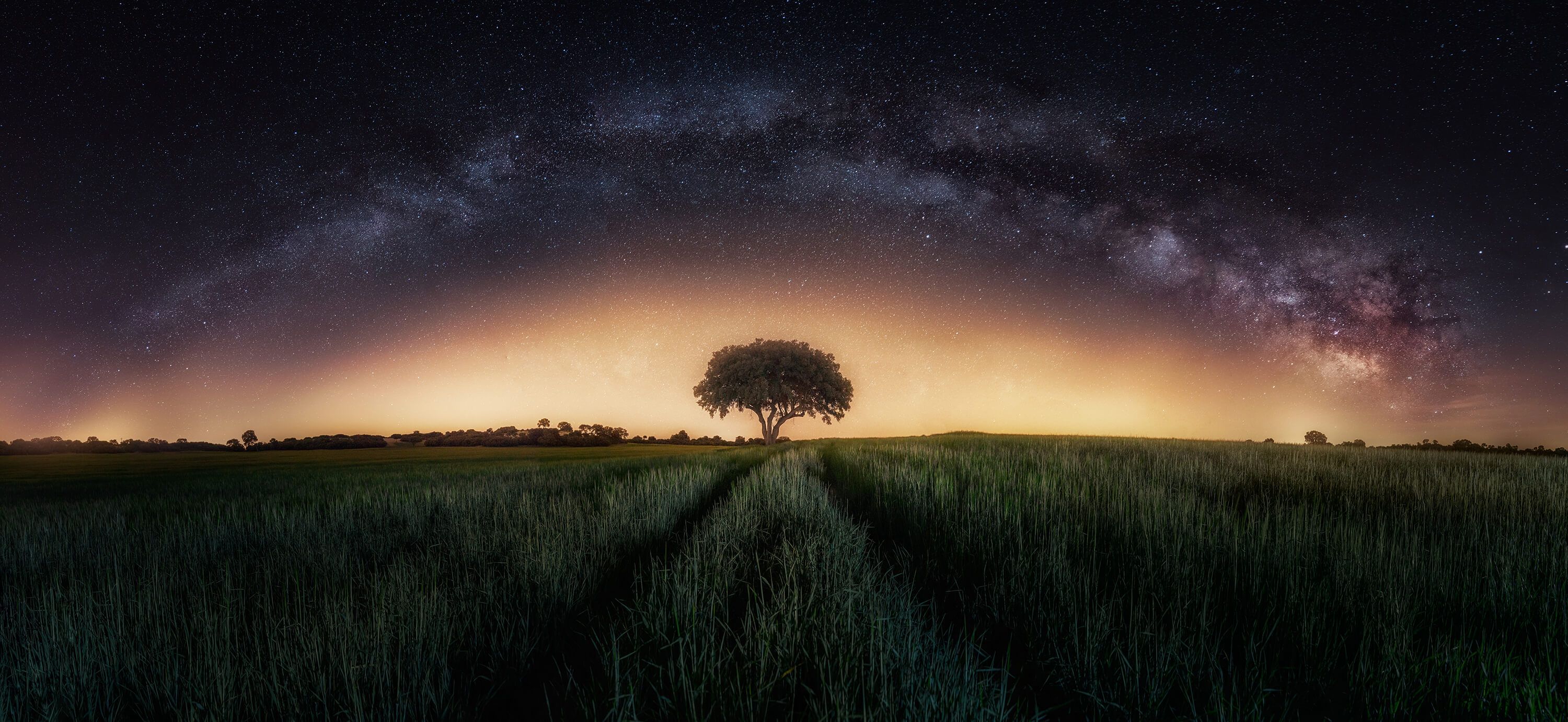 wallpaper Milky way over lonely tree