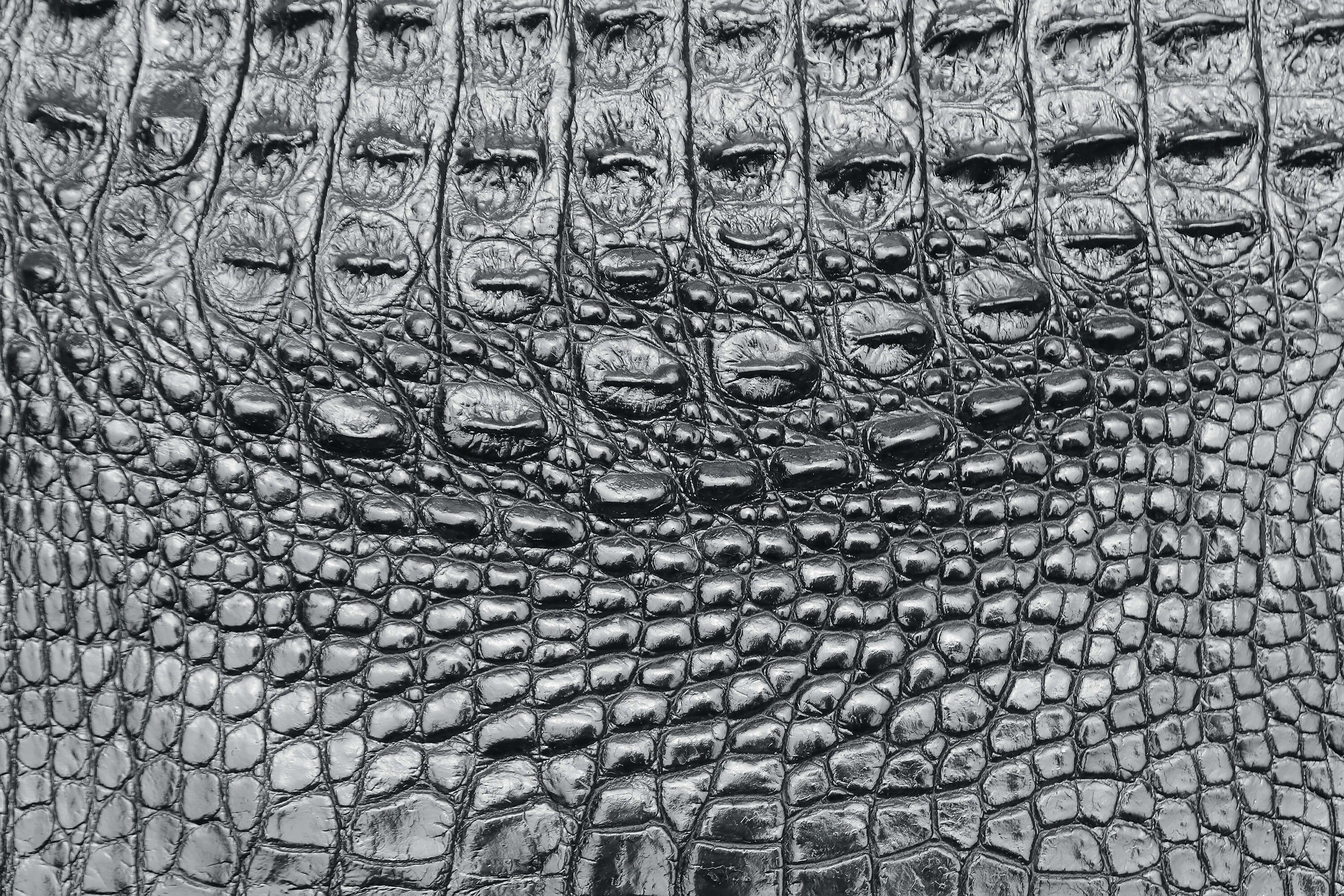 wallpaper Zwarte krokodillen huid