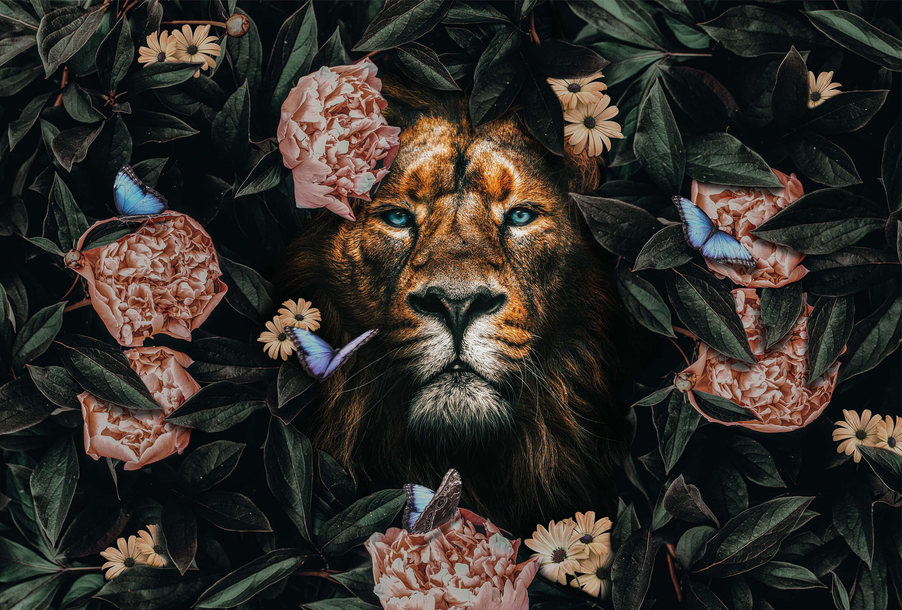 wallpaper Jungle Lion
