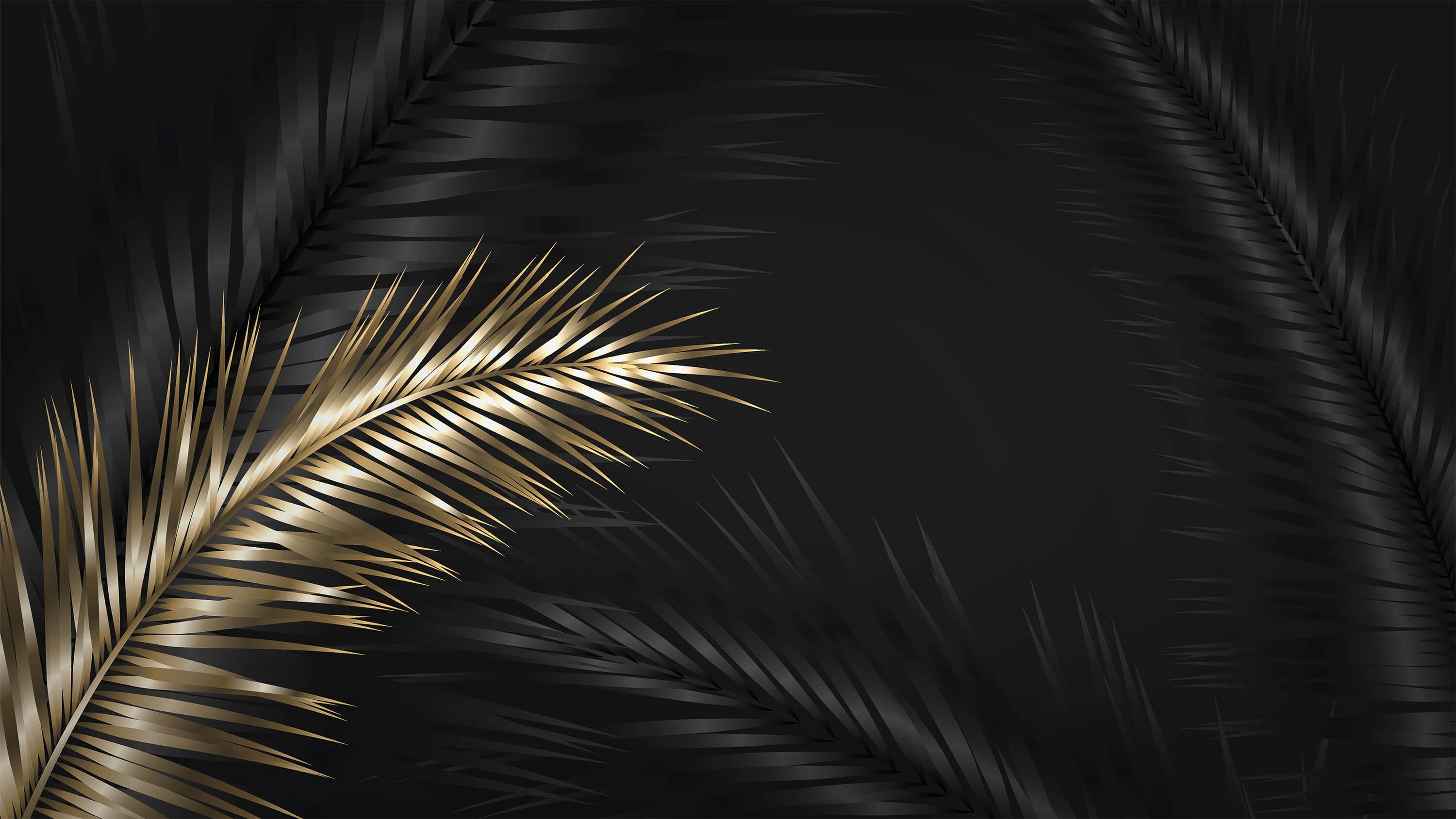wallpaper Sierlijke palmbladeren