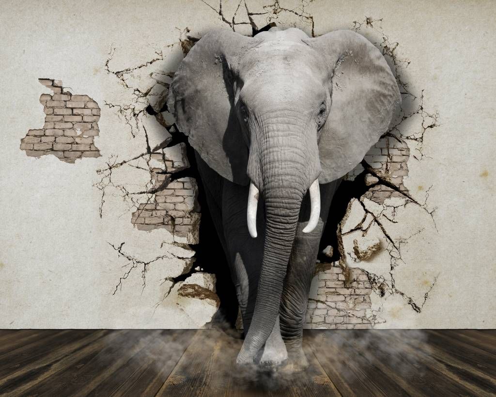 3D Olifant uit de muur main product photo