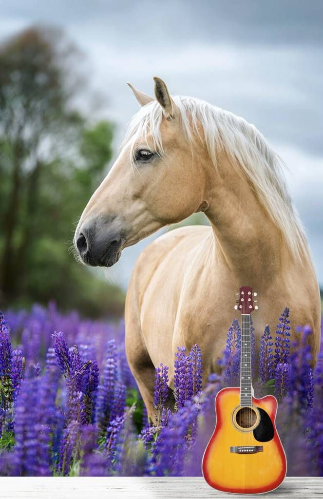 Inpakken Scheur Om toestemming te geven Behang met een paard tussen de lavendel - Fotobehang