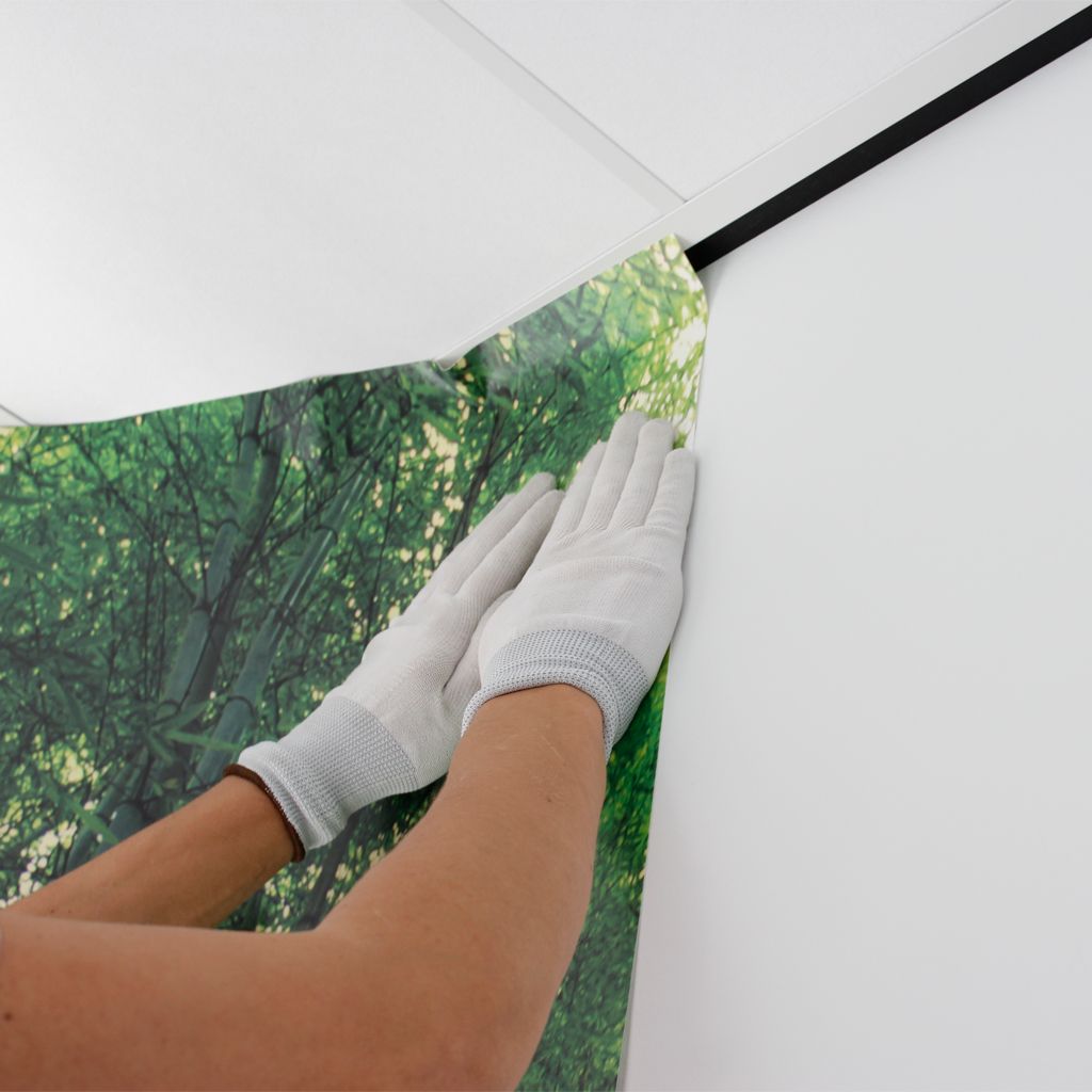 Behangservice Fotobehang main product photo