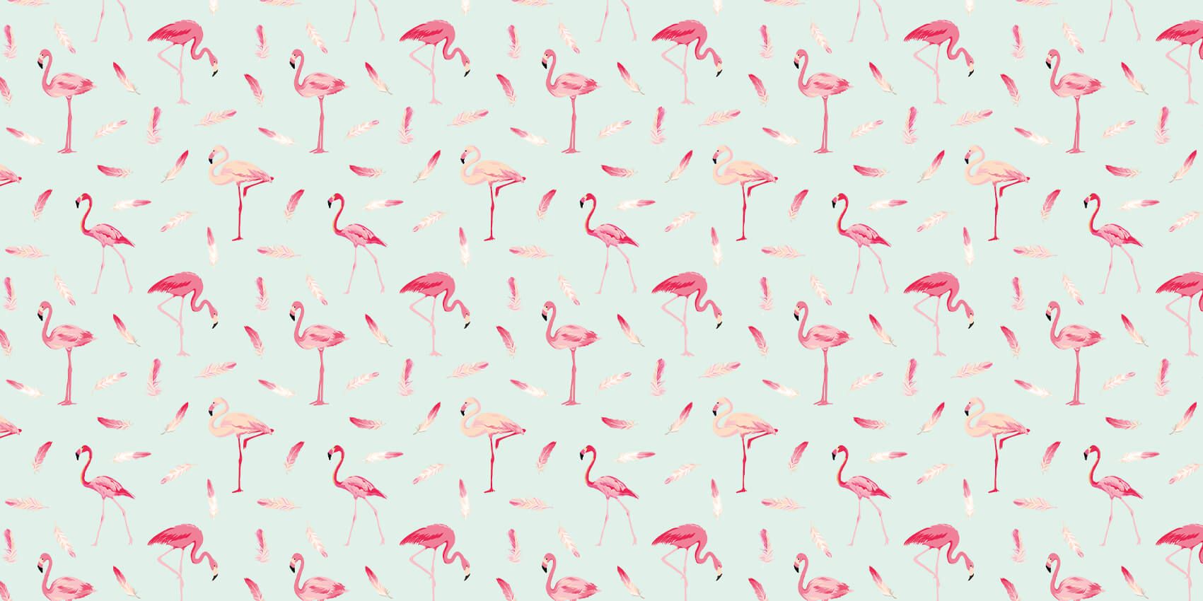 Flamingo's Flamingo's