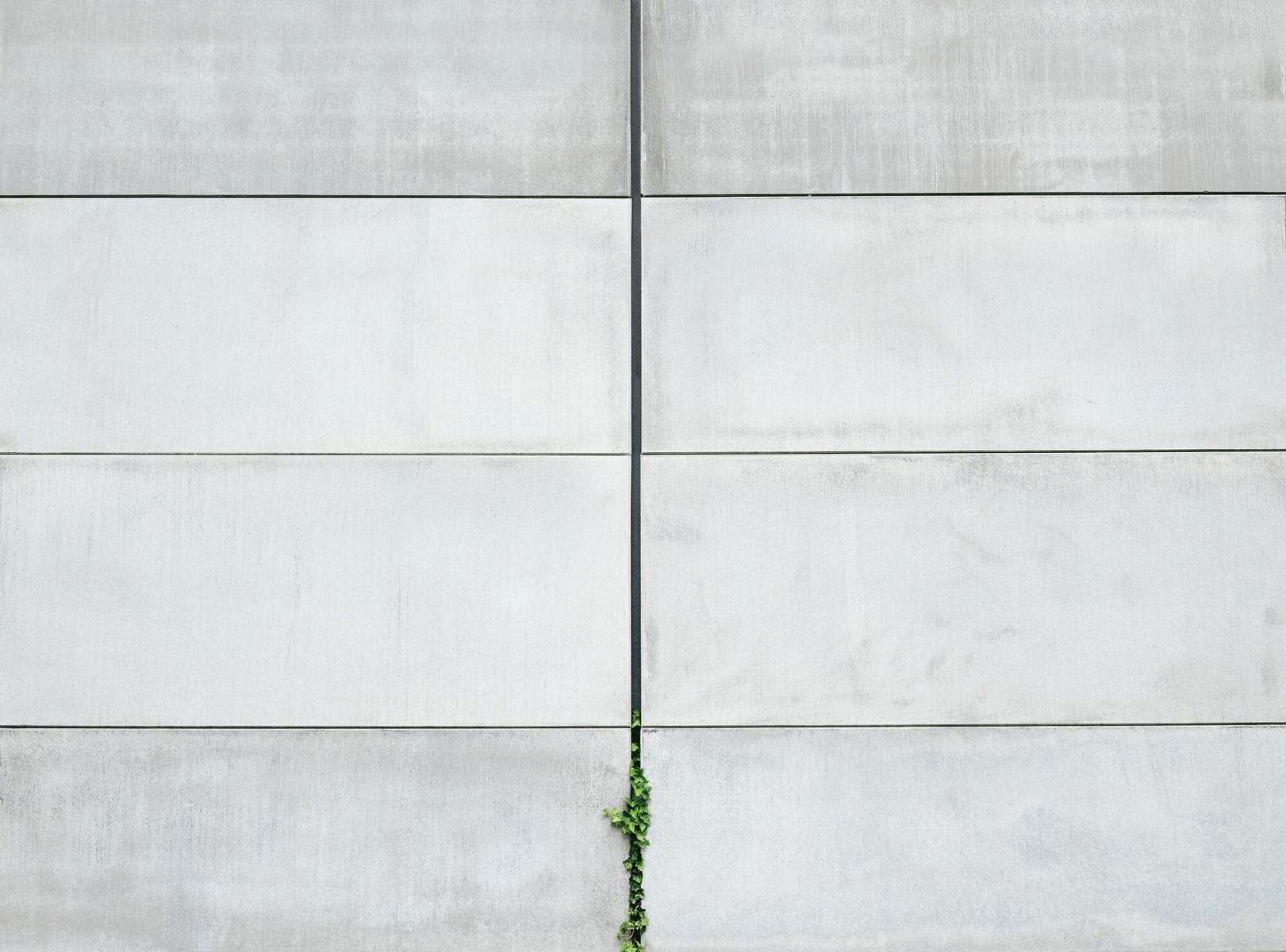 Kakadu poeder noedels Muur van betonnen platen - Wallexclusive - Fotobehang