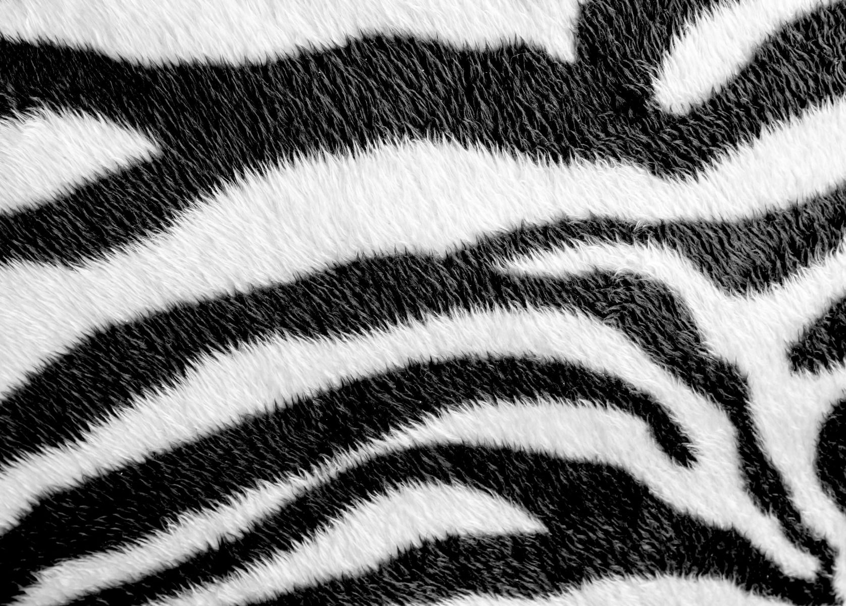 Close-up zebra vacht Close-up zebra vacht