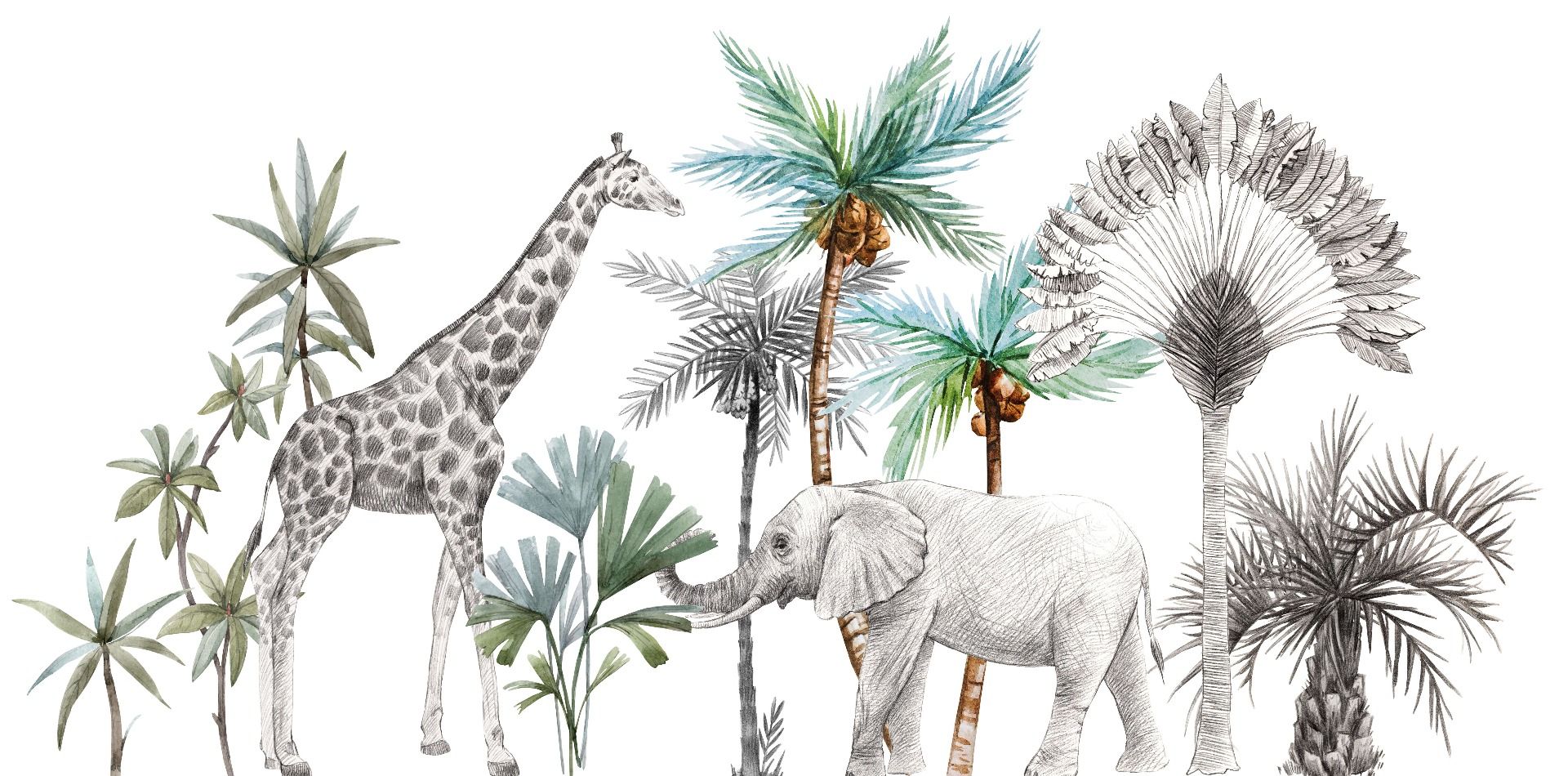 Wilde dieren schets main product photo