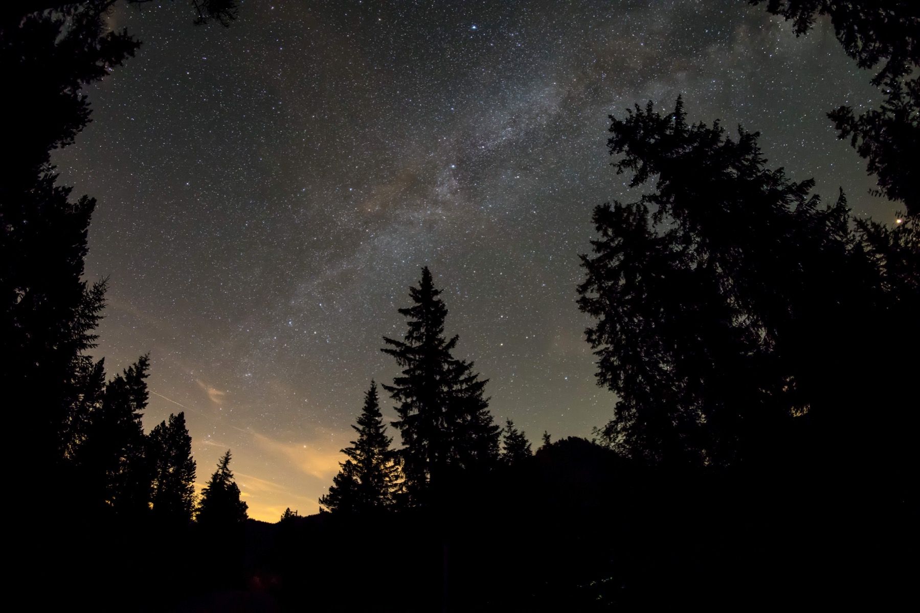 vermomming kennis Skalk Sterrenhemel in de nacht - Fotobehang