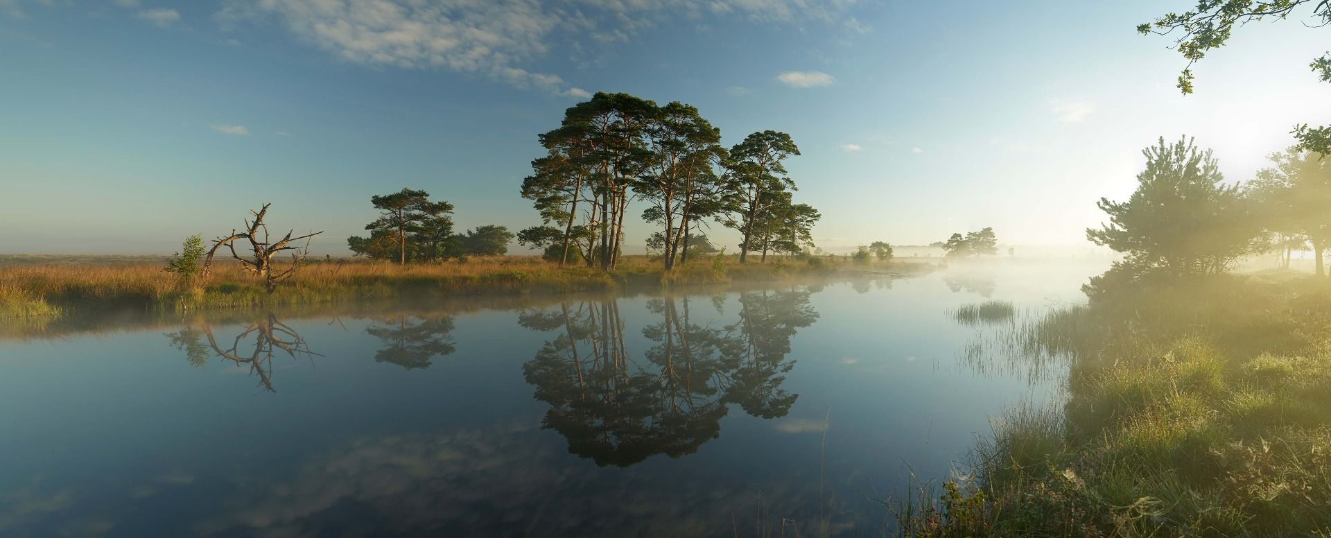 Weerspiegeling in heidegebied main product photo