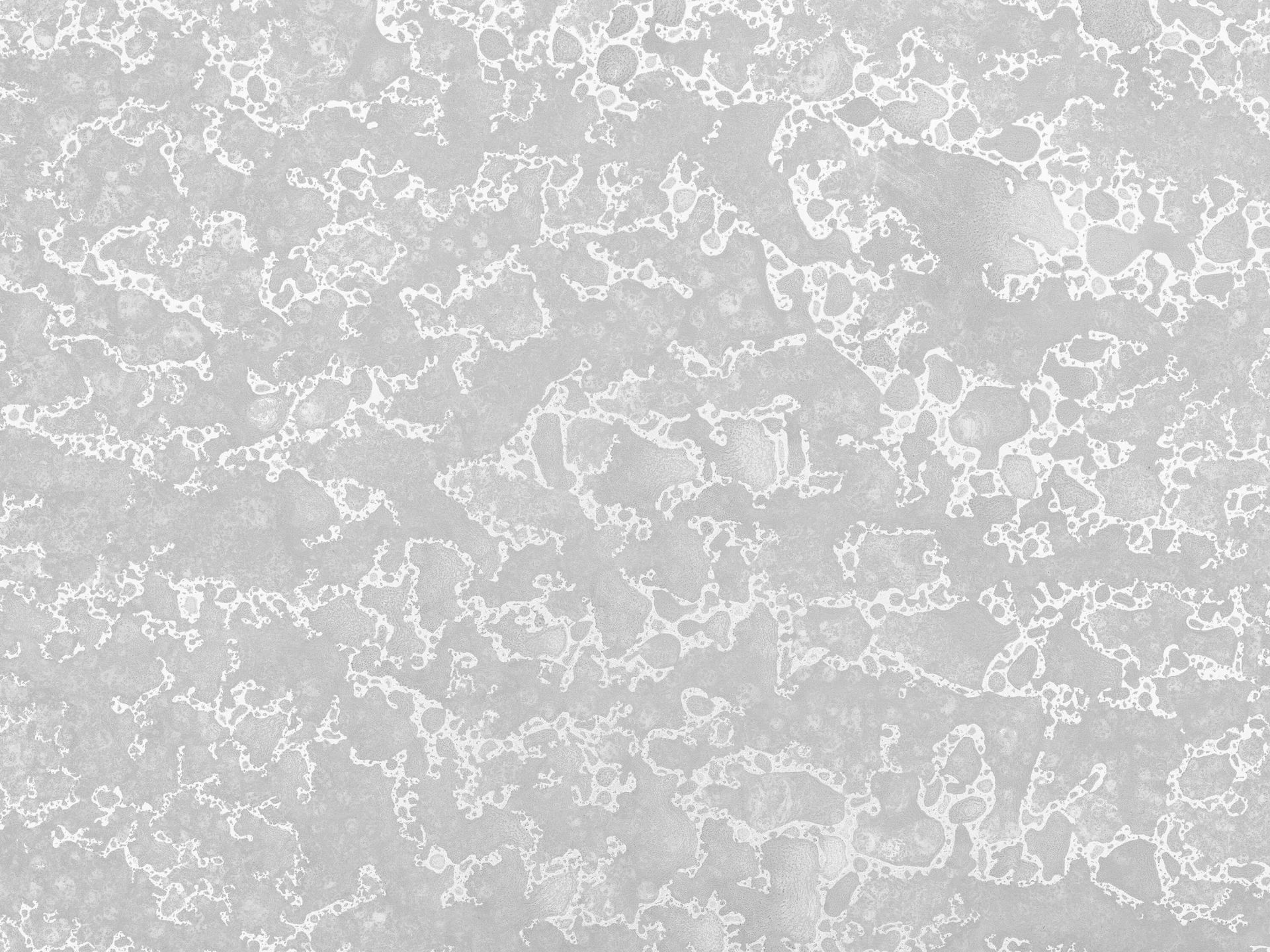 Geoxideerde staalplaat main product photo
