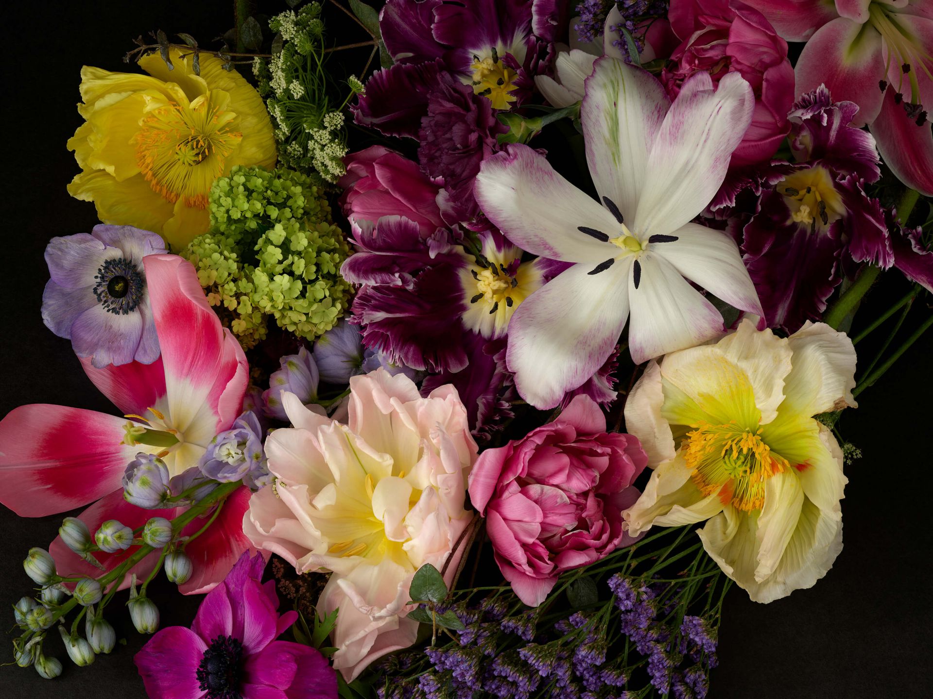 Kleurrijke bloemen Kleurrijke bloemen