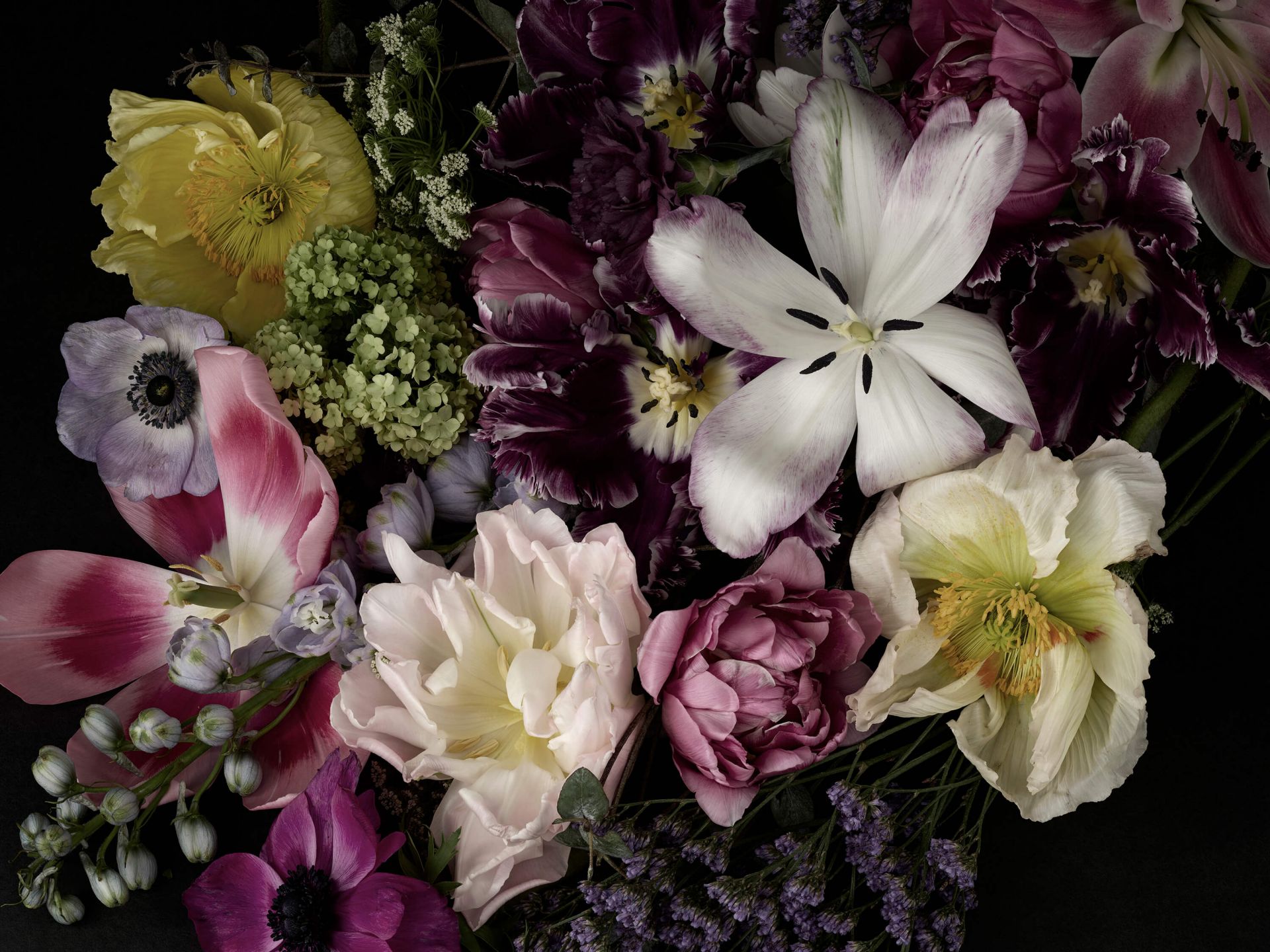 magneet helper hetzelfde Kleurrijke bloemen donker - Fotobehang