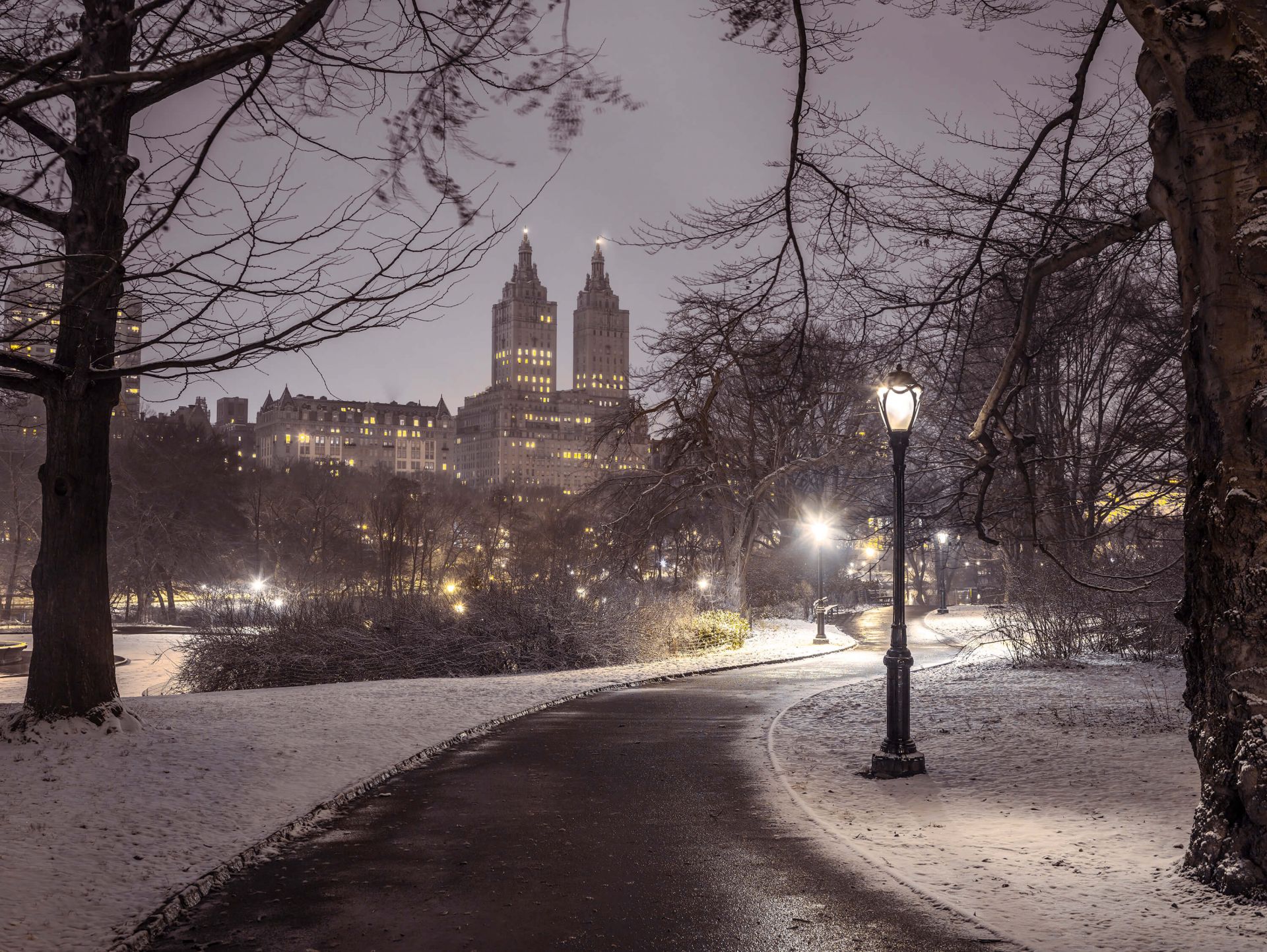 Besneeuwd Central park main product photo