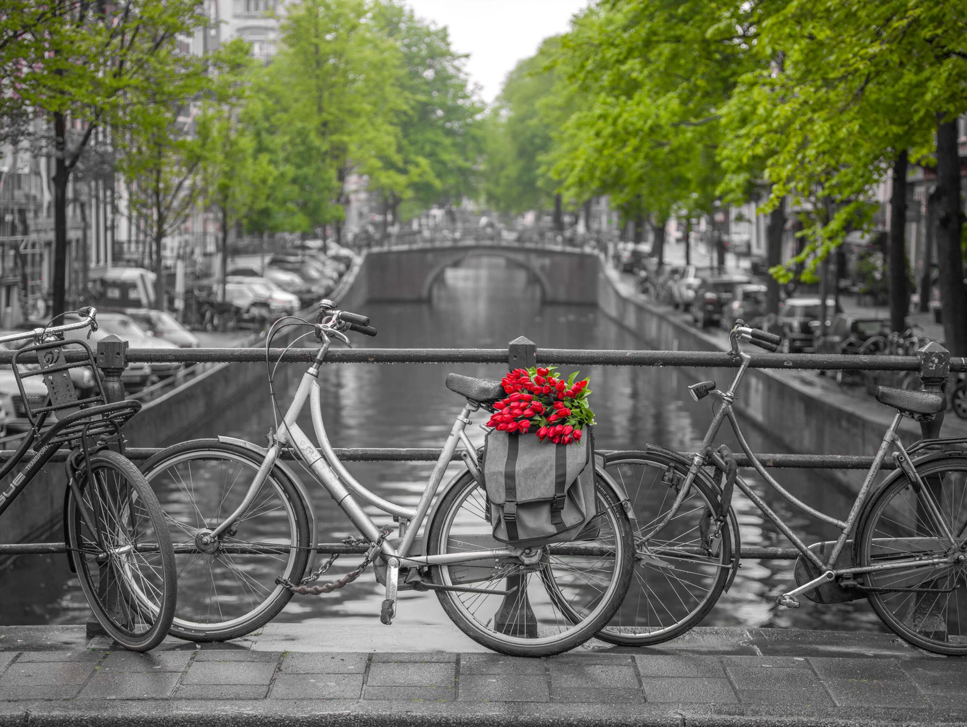 Fiets met bloemen main product photo