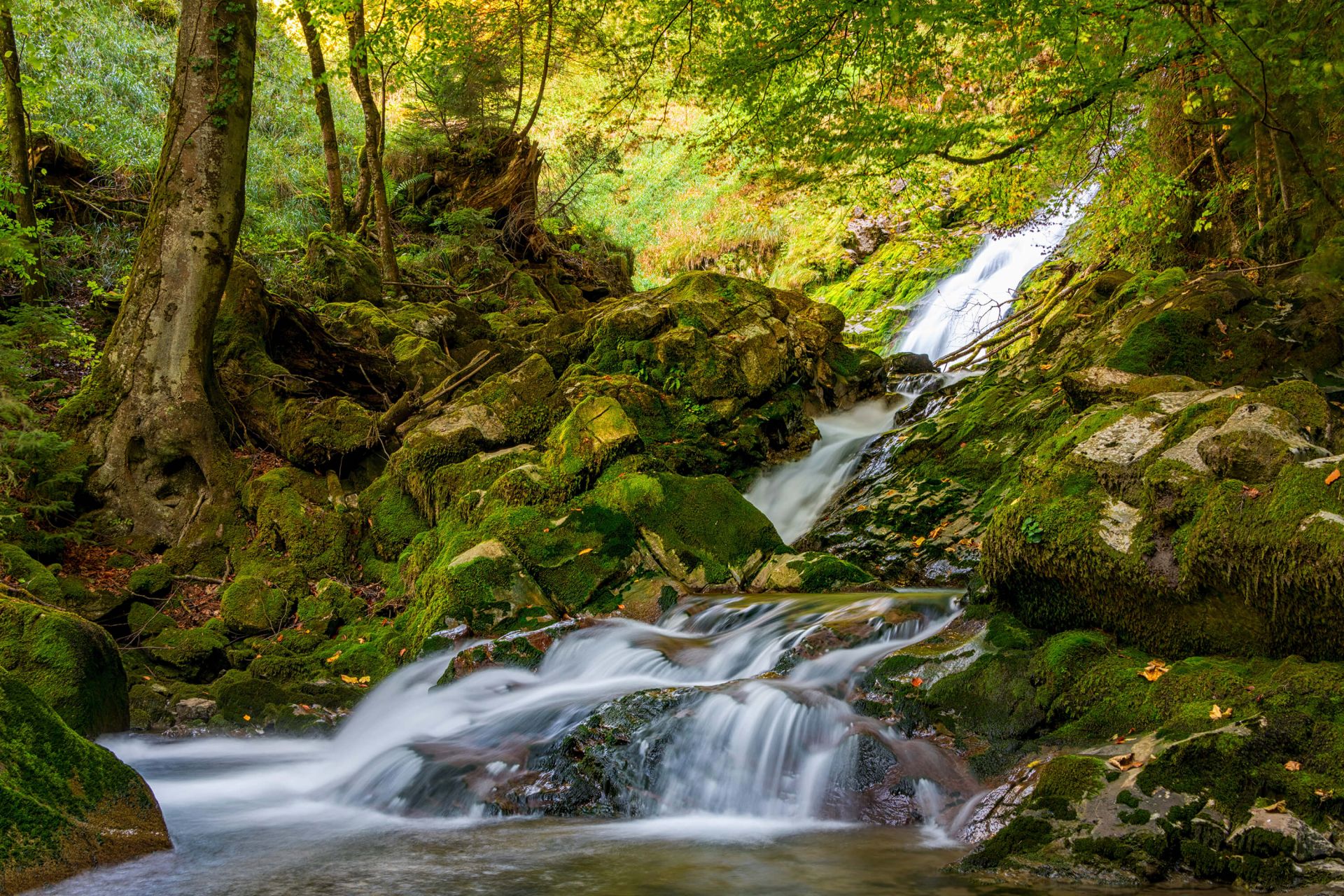Waterval midden in het bos