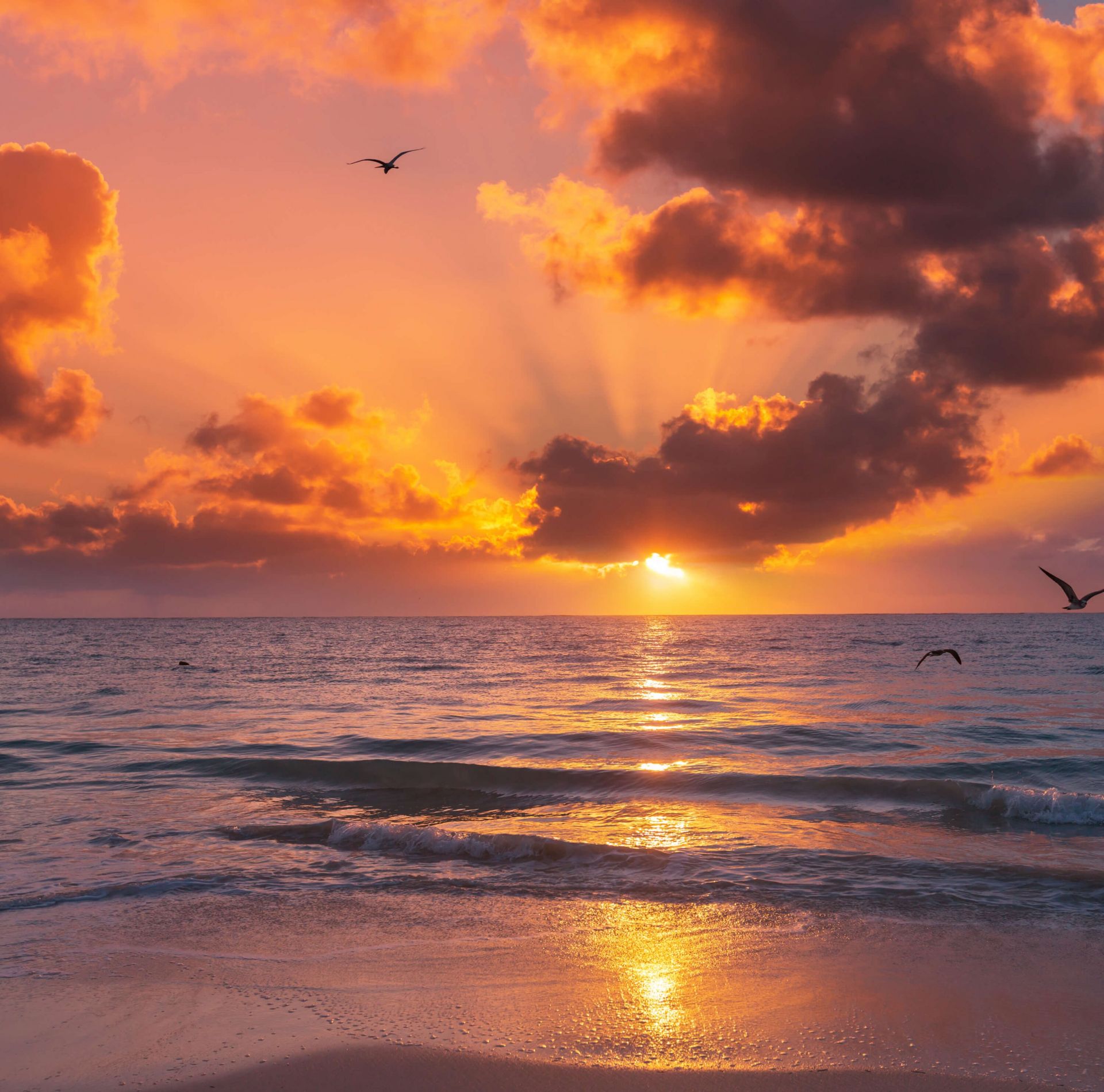 Prachtige oranje zonsondergang Prachtige oranje zonsondergang